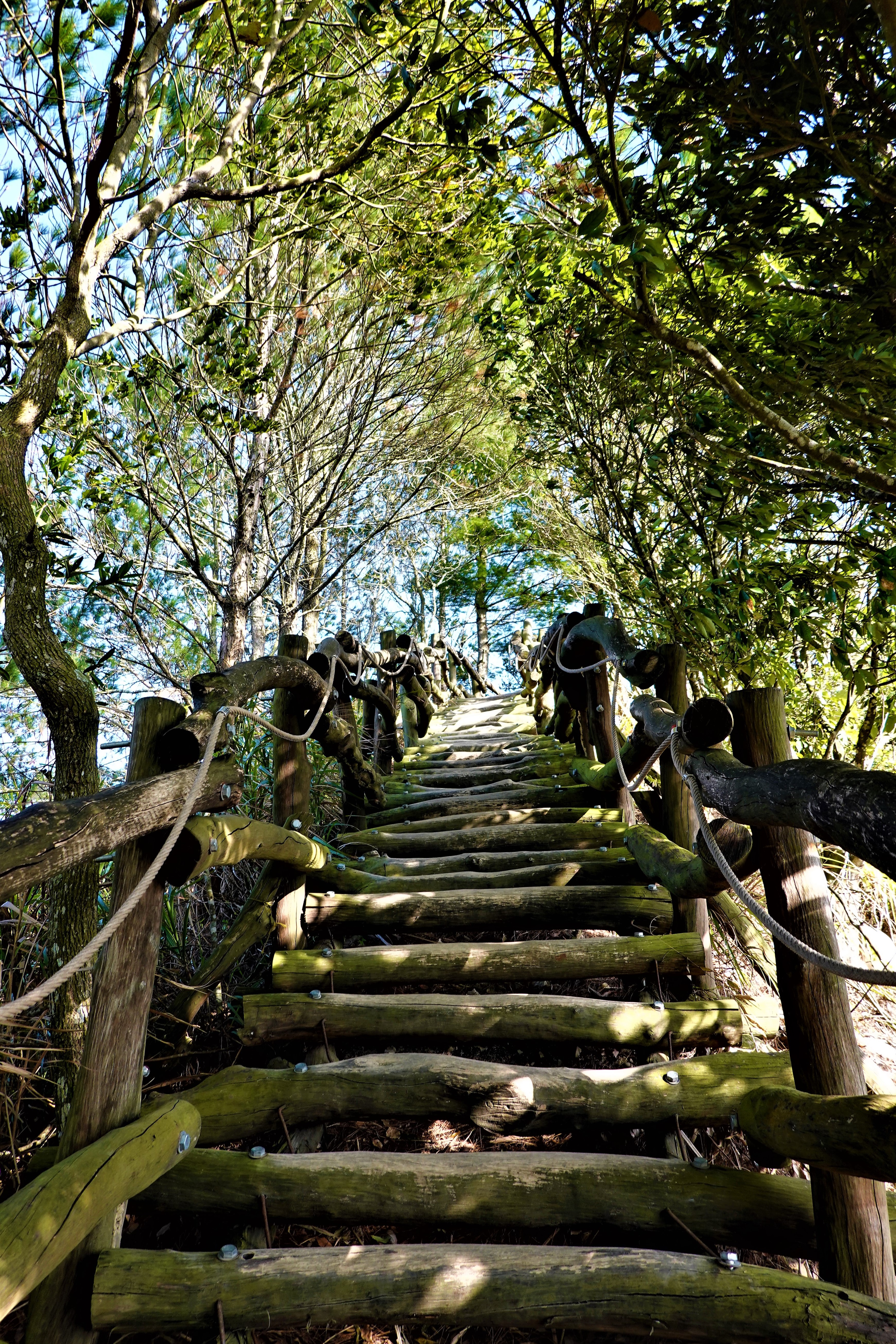 20210217@頭嵙山(小百岳#41)
