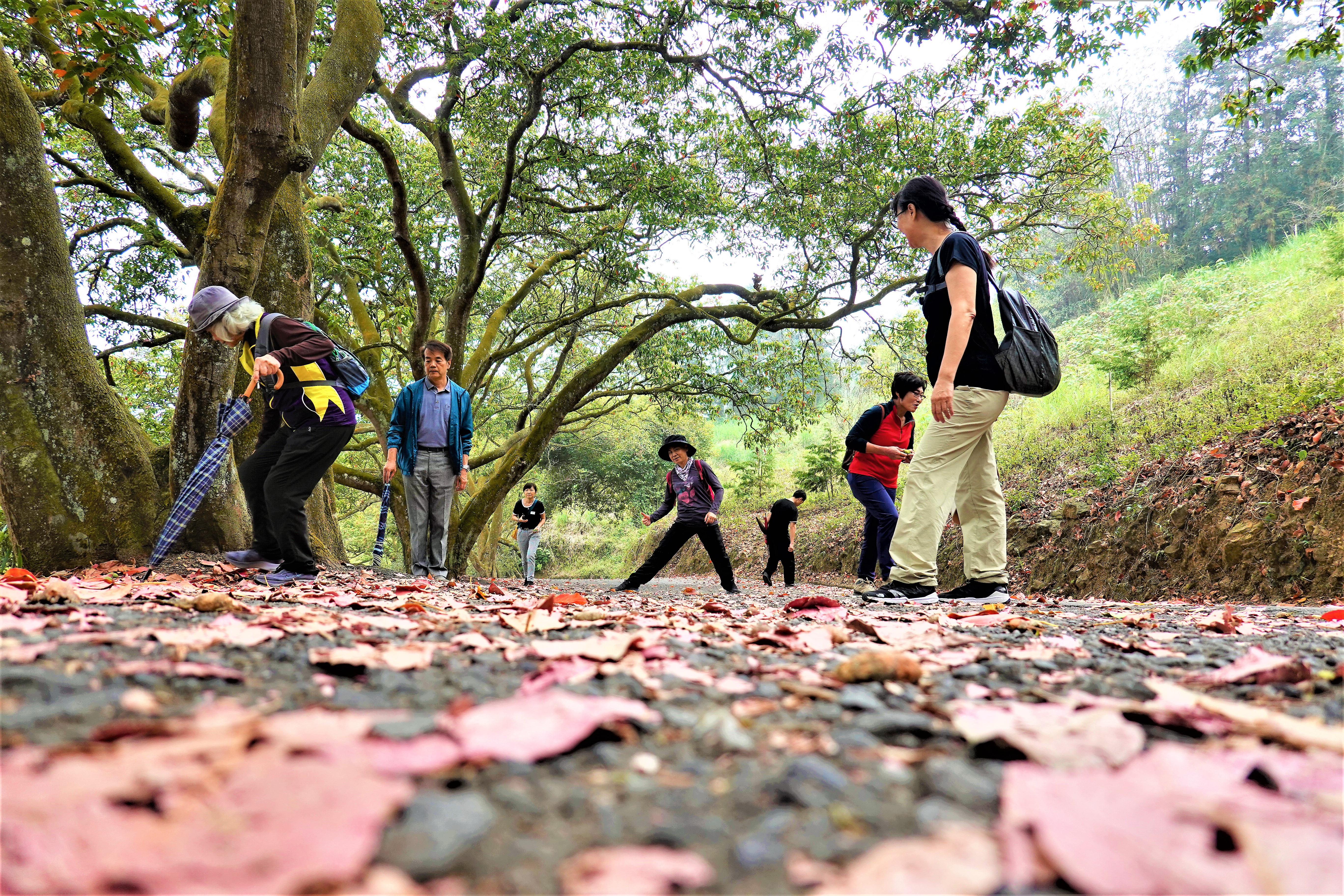 20210407@貓囒山(小百岳#49)