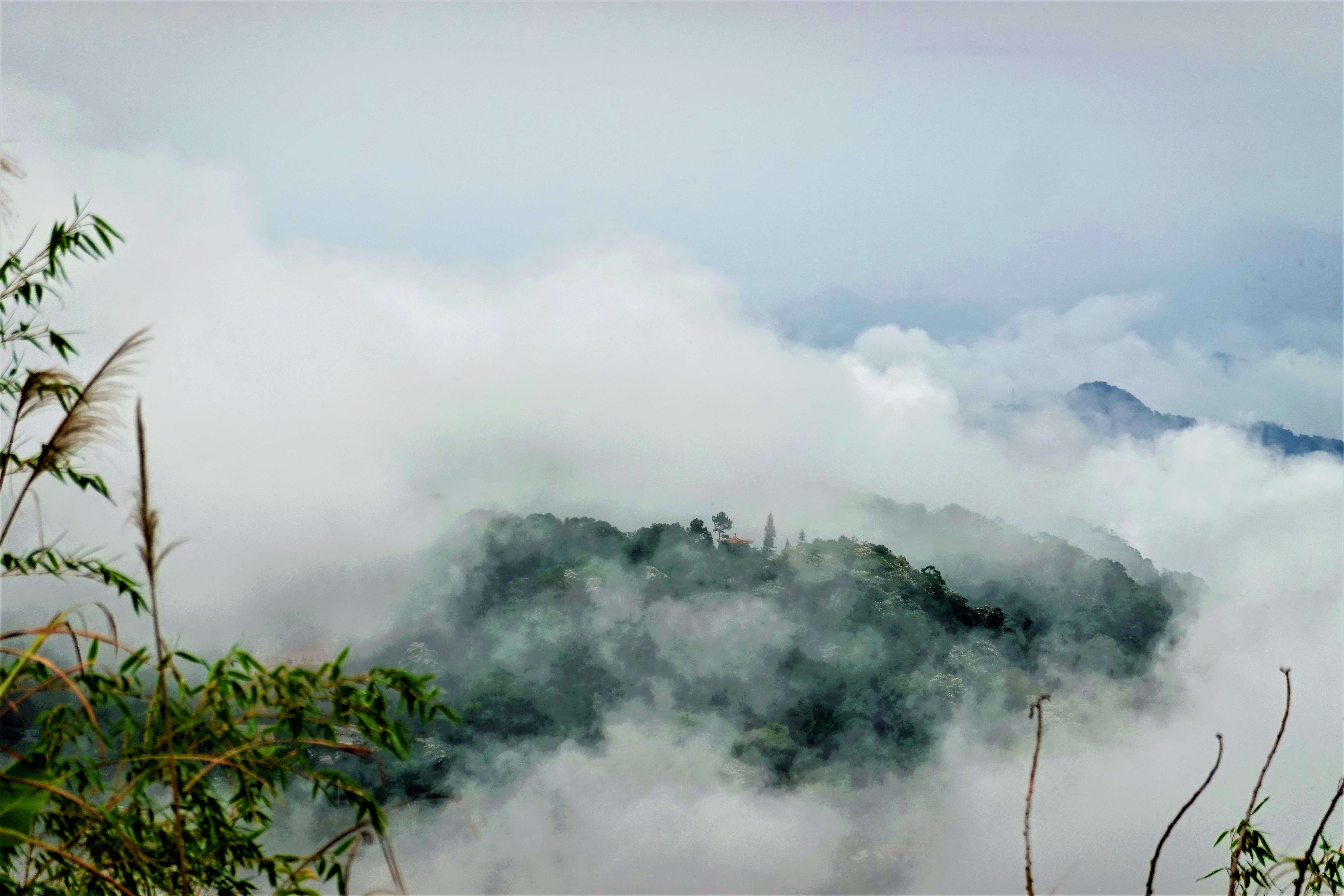 20210428@關刀山(小百岳#36)