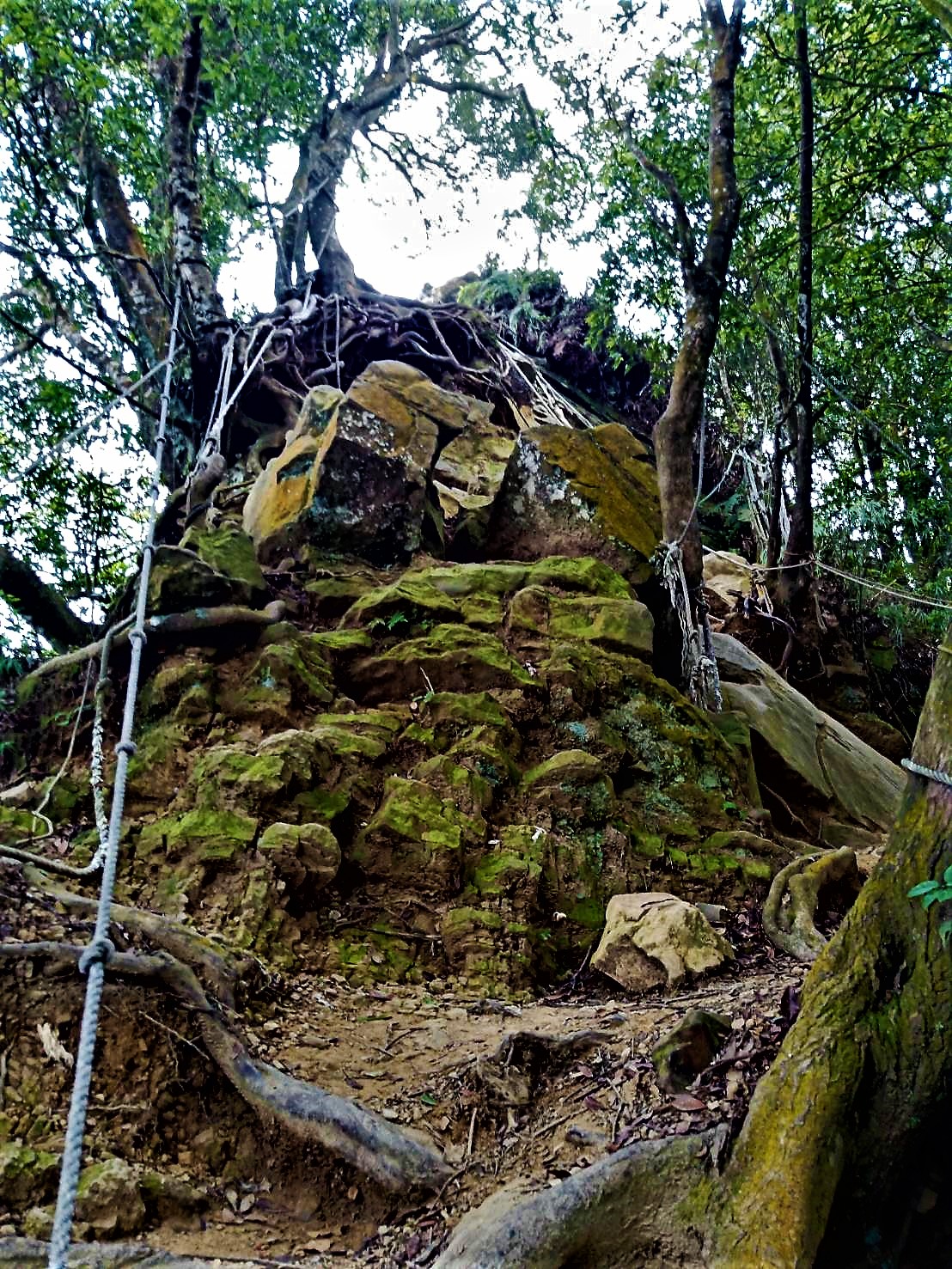 20210819@仙山(小百岳#33)