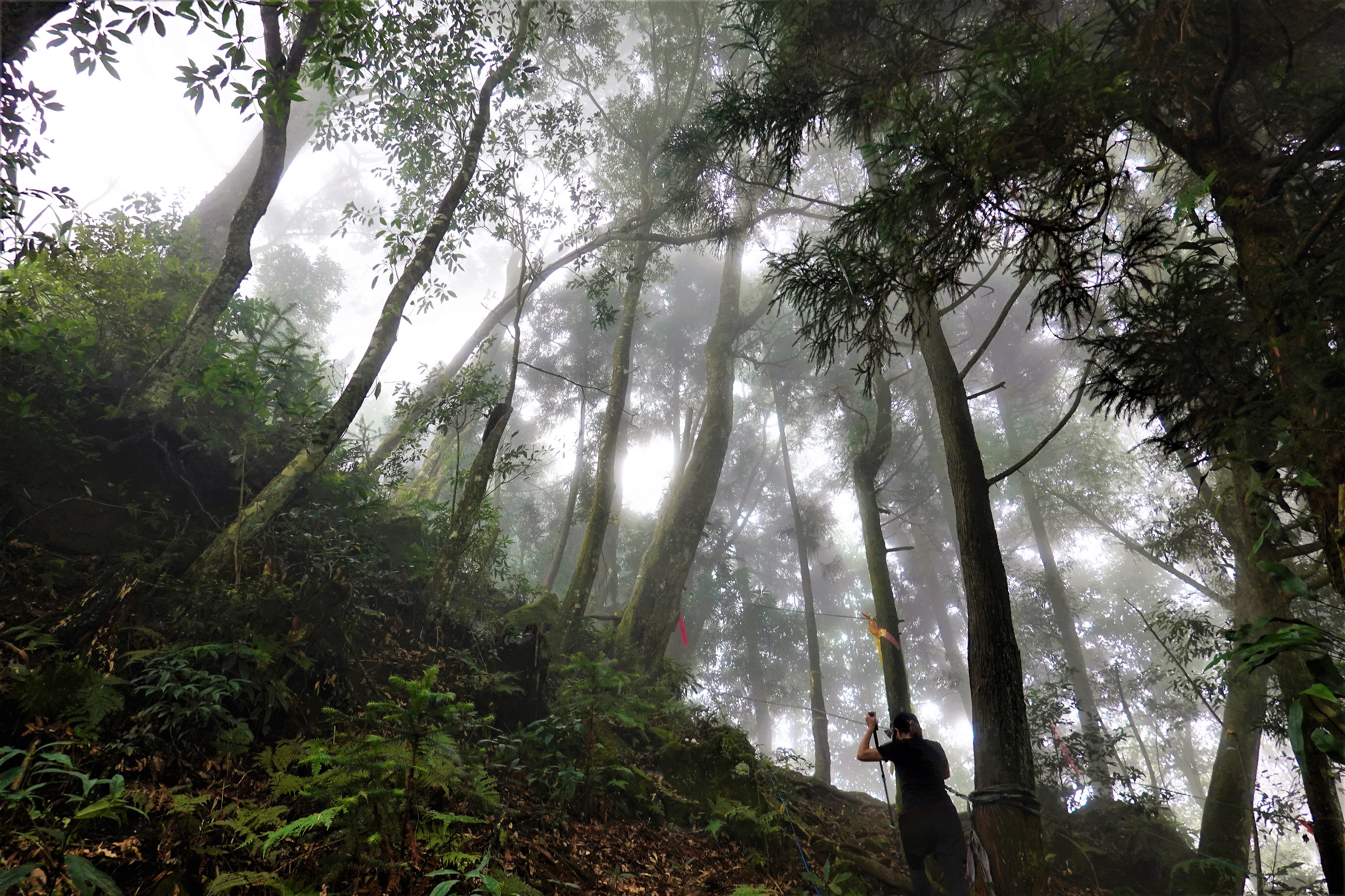 20210830@鳳凰山(小百岳#53)