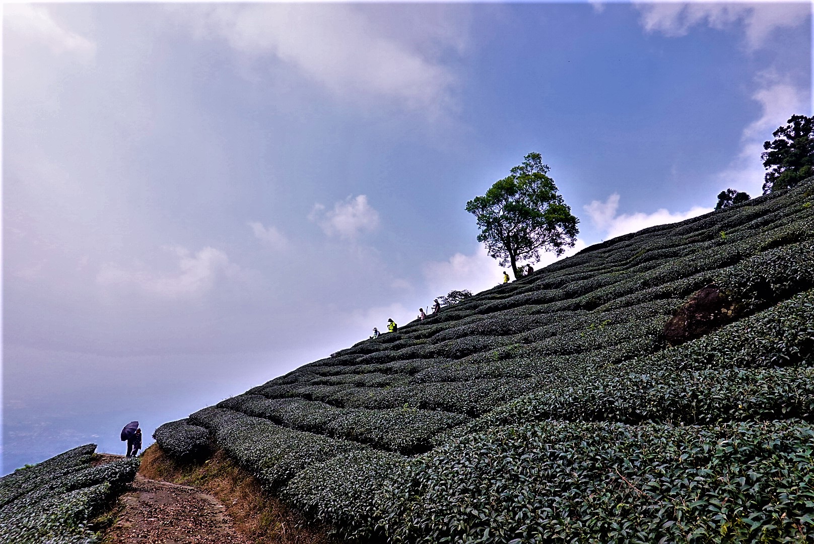 20210929@梨子腳山(小百岳#57)