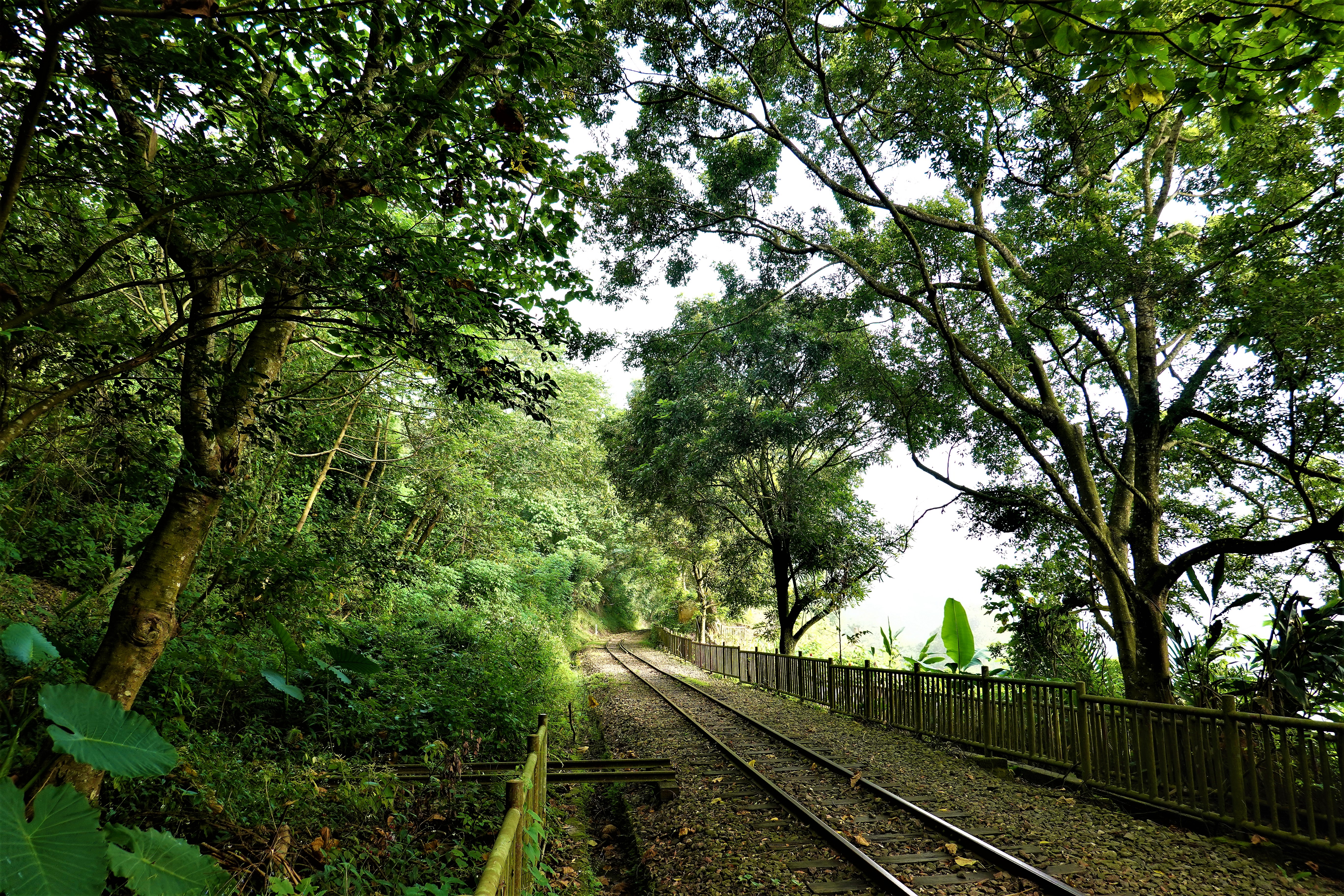 20210930@獨立山(小百岳#58)