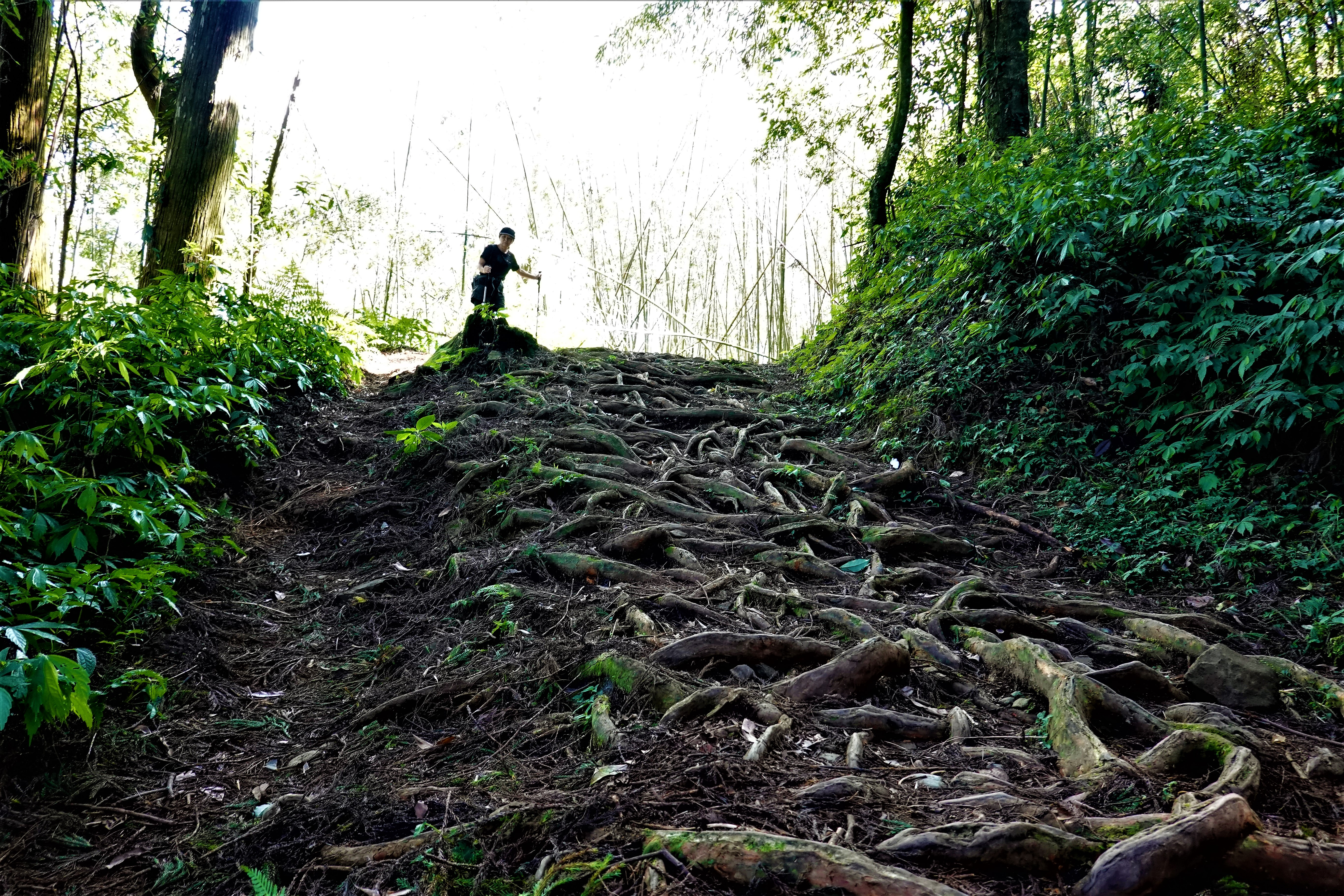 20211005@奮起湖大凍山(小百岳#60)