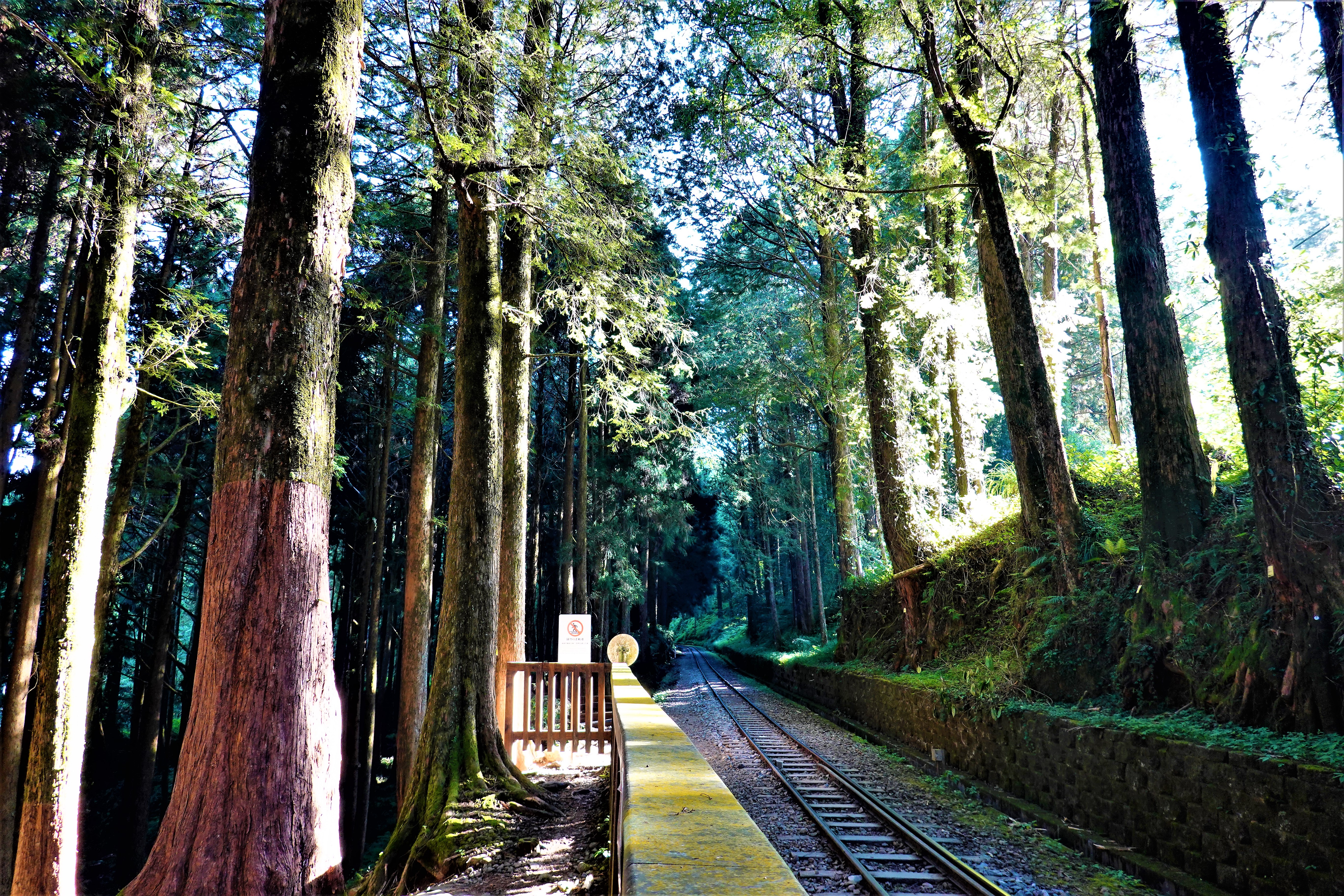20211006@大塔山(小百岳#59)