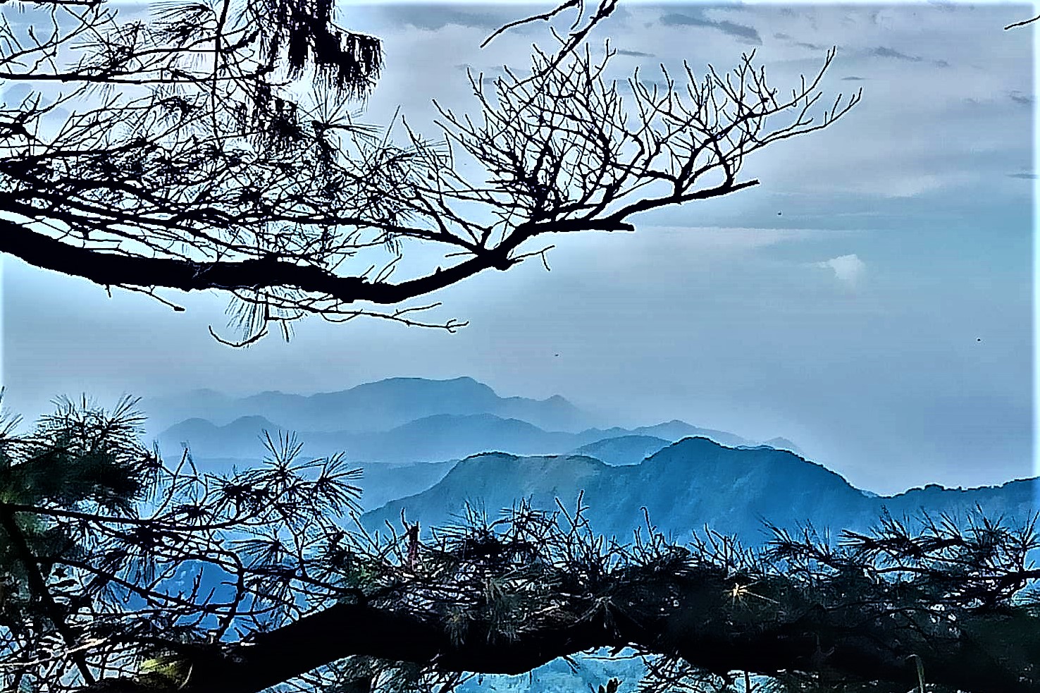 20211006@大塔山(小百岳#59)