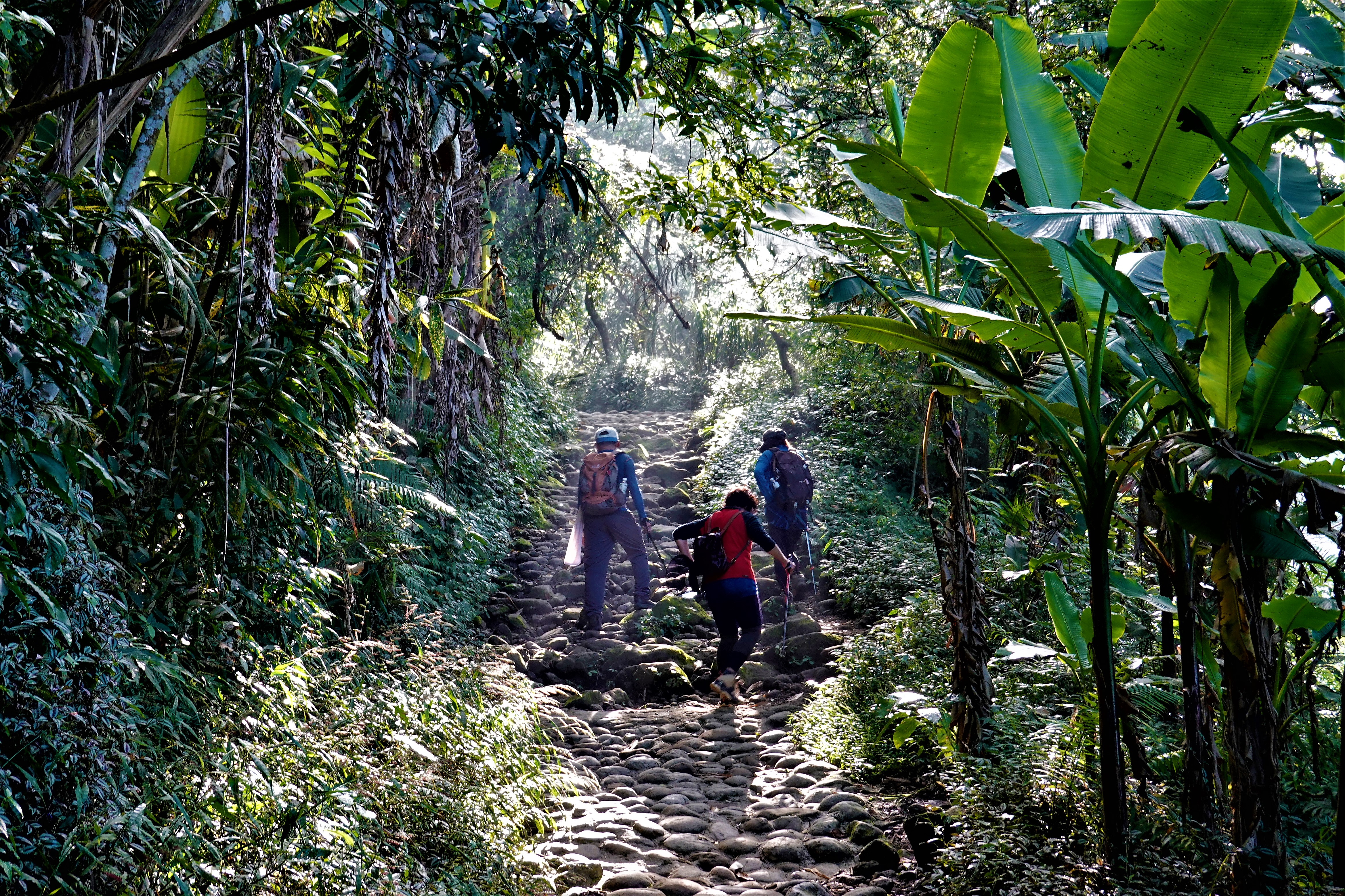 20211015@關子嶺大凍山(小百岳#63)