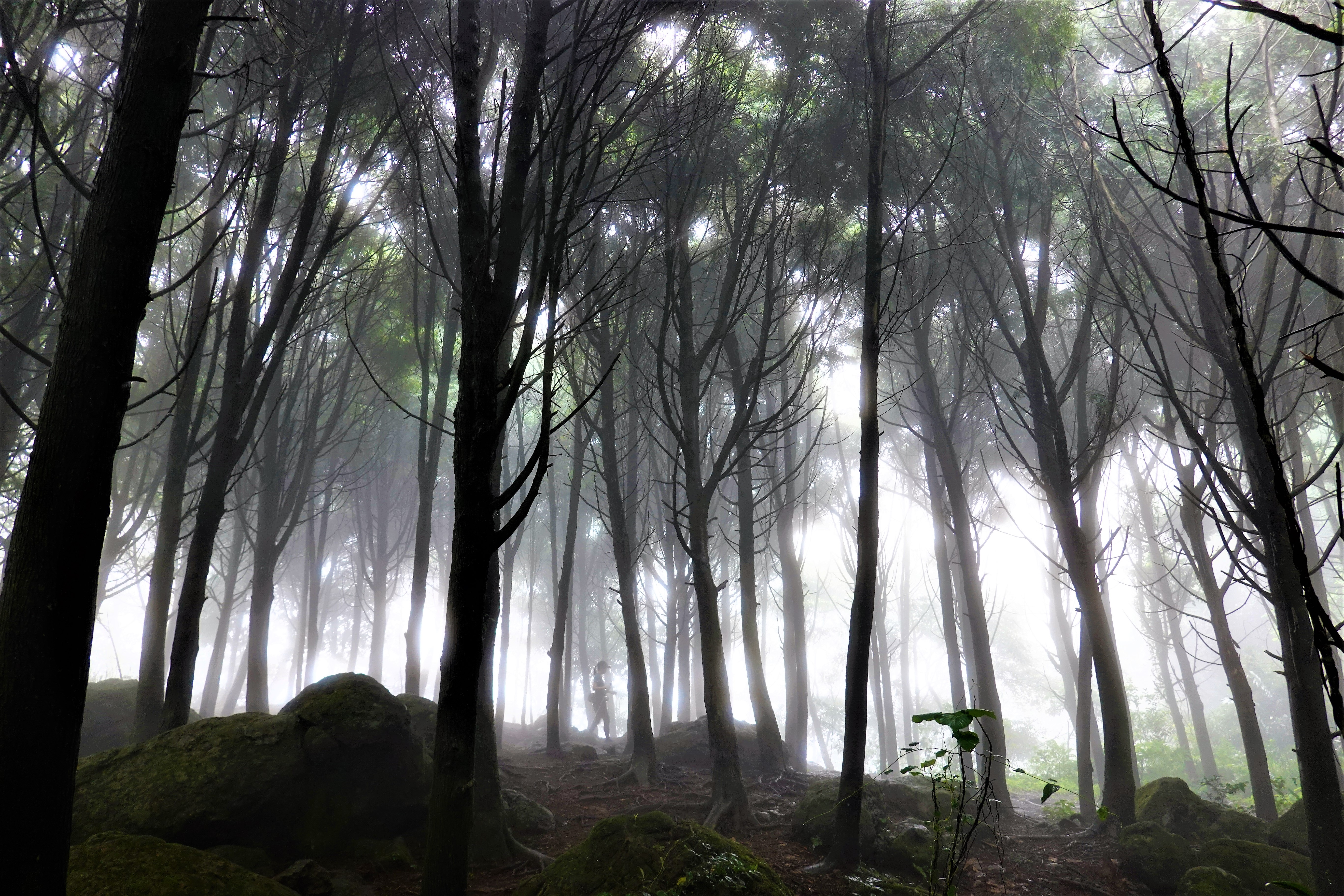 20211025@五指山(小百岳#30)