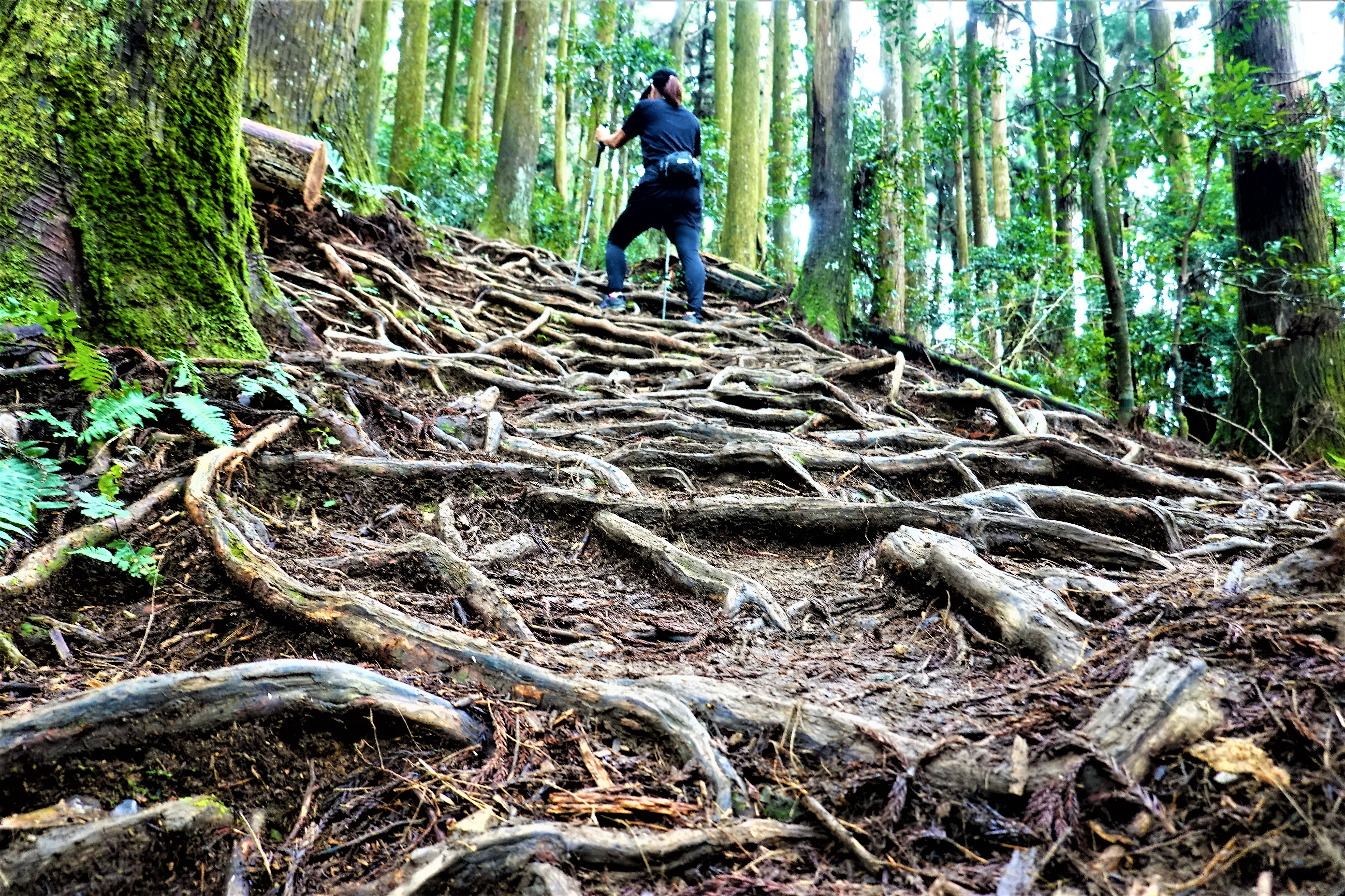 20211026@加里山(小百岳#34)