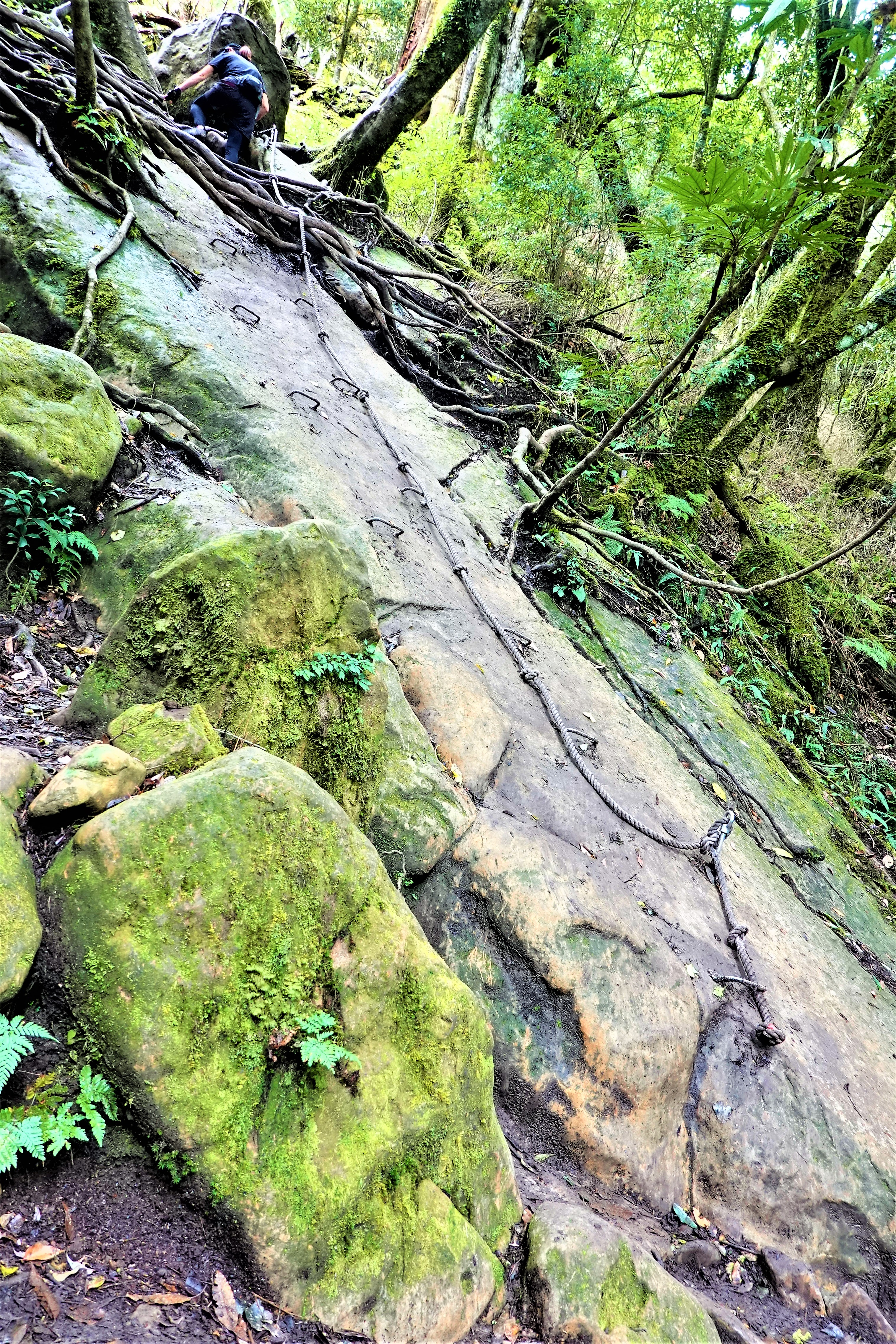 20211026@加里山(小百岳#34)