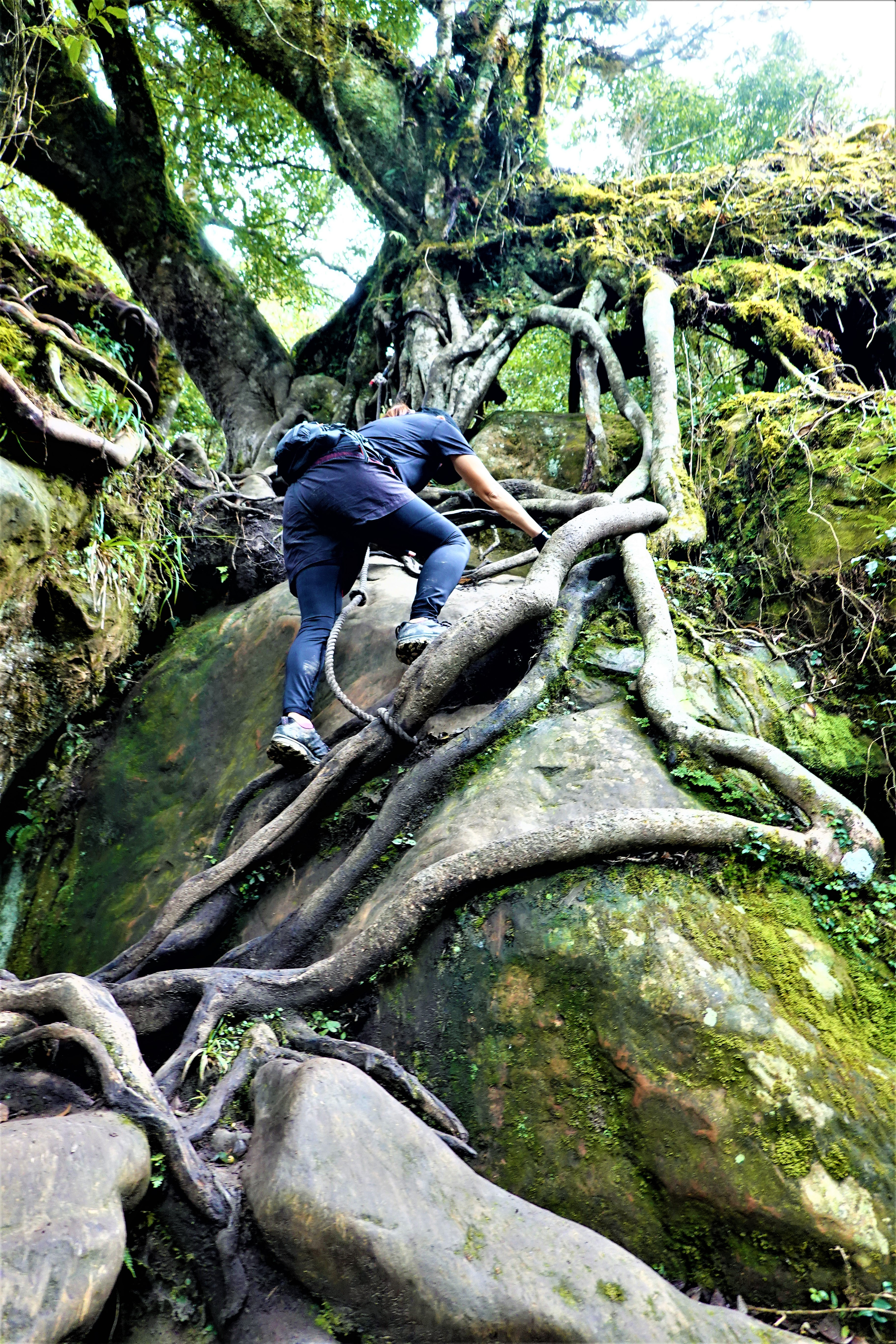 20211026@加里山(小百岳#34)