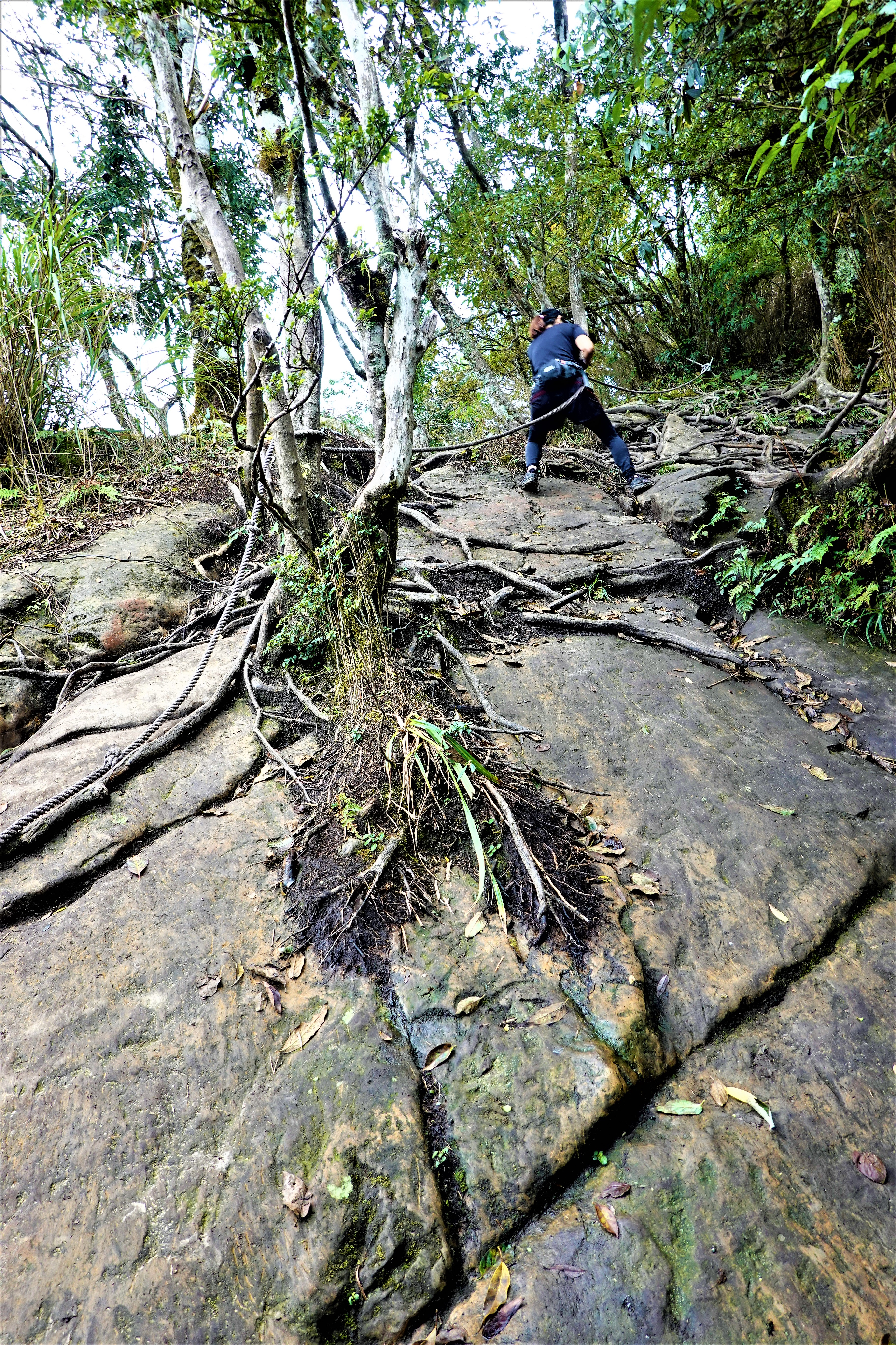 20211026@加里山(小百岳#34)