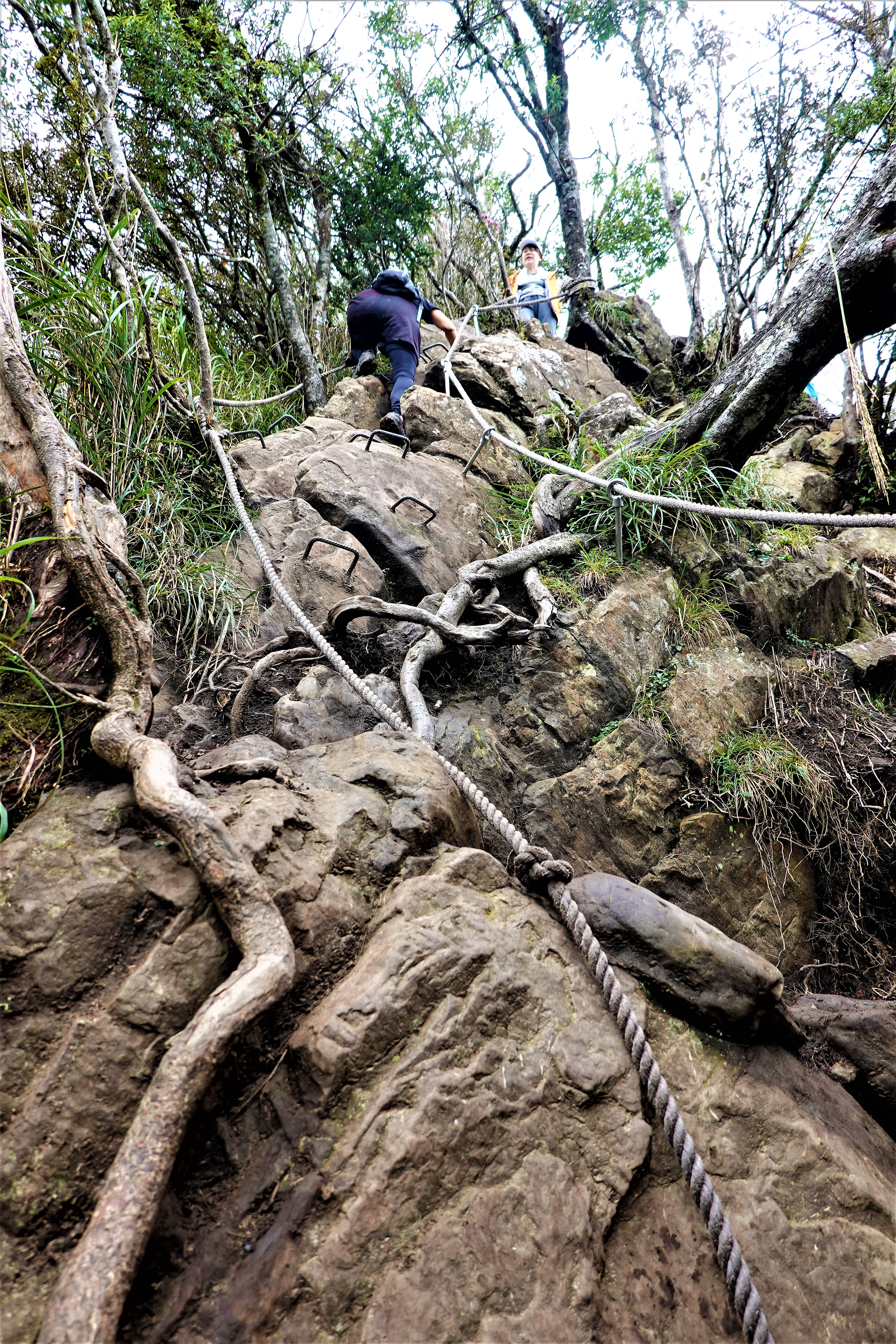 20211026@加里山(小百岳#34)