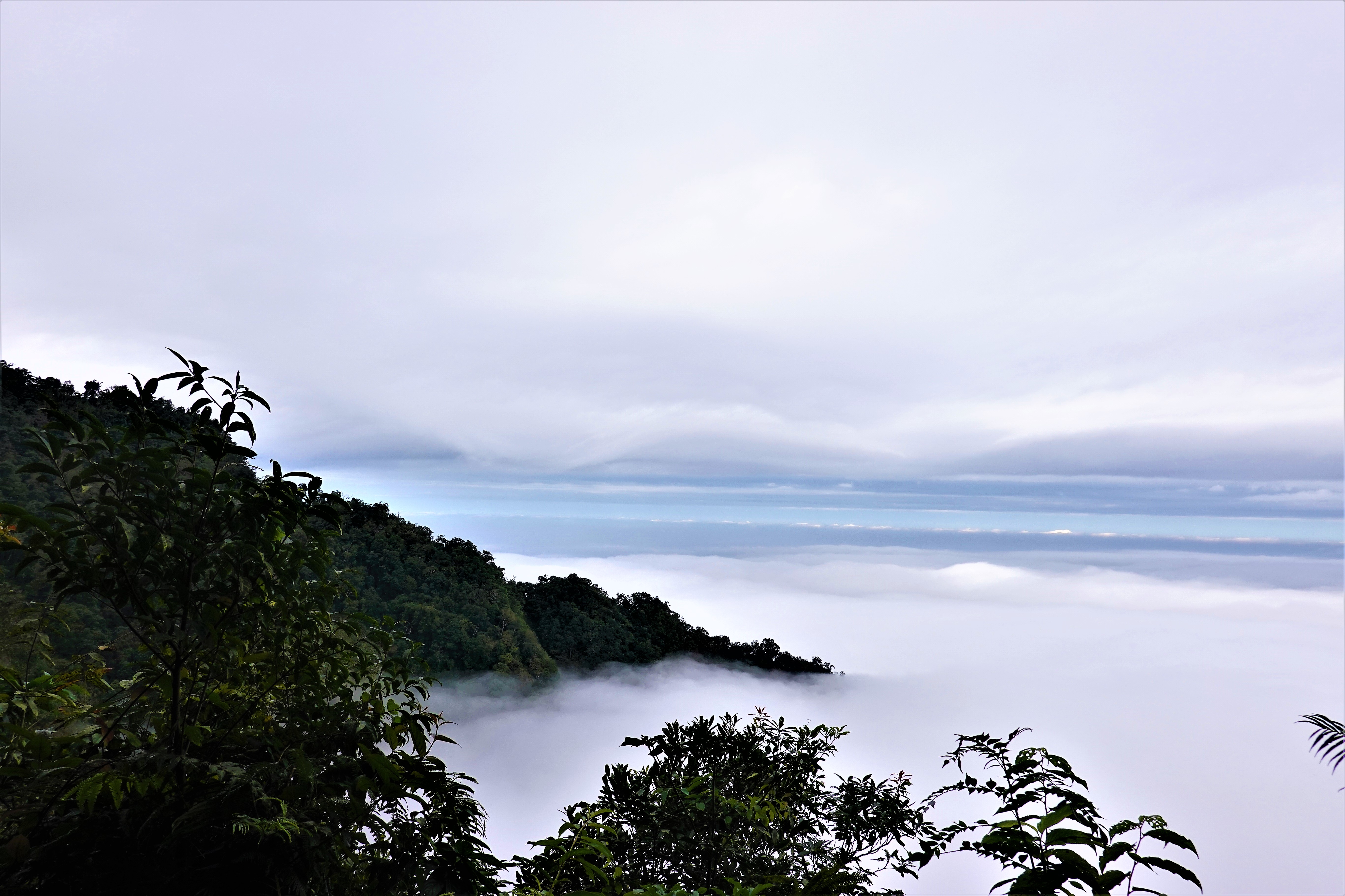 20211109@鵝公髻山(小百岳#31)：雲海