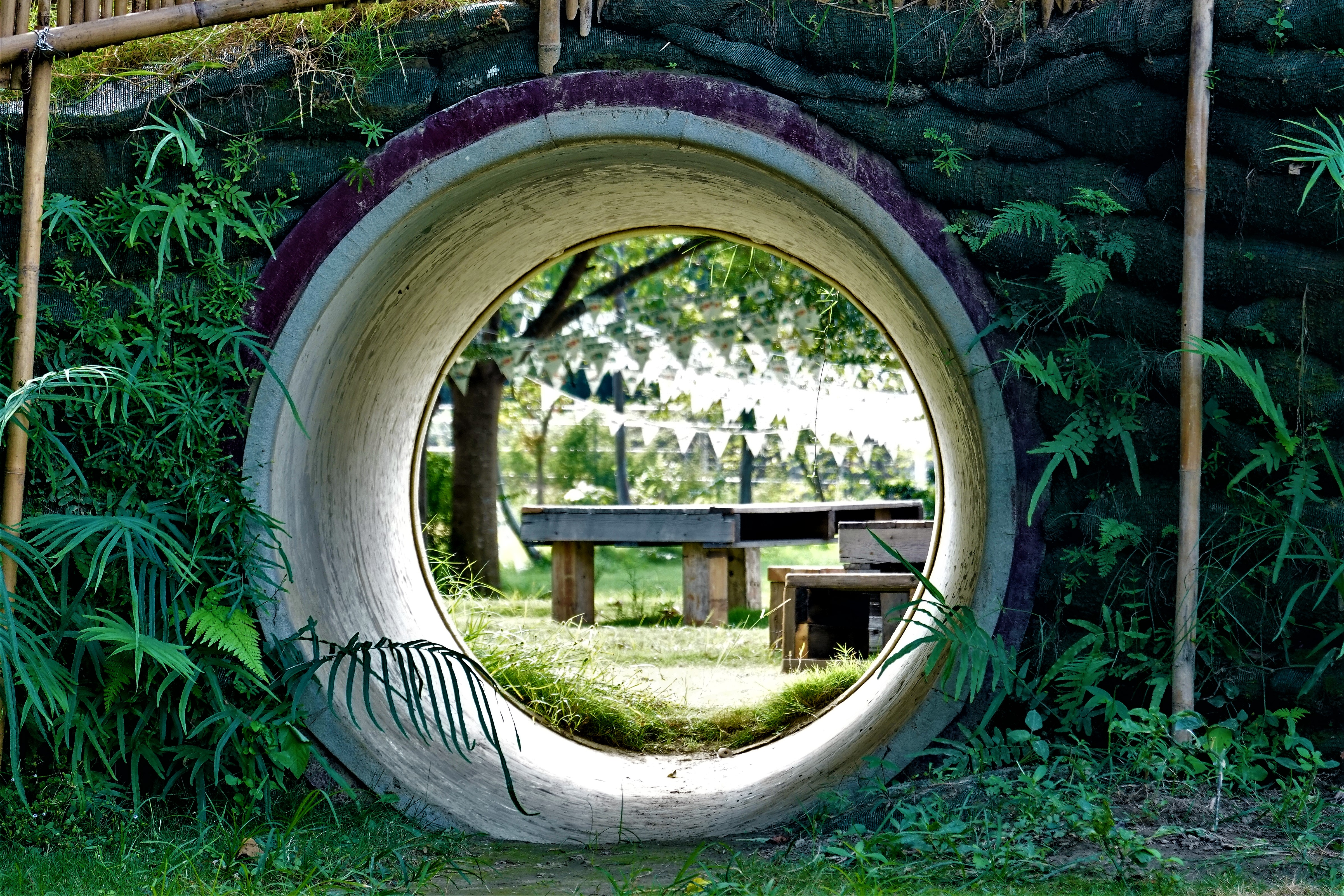 20211117@三腳南山(小百岳#65)