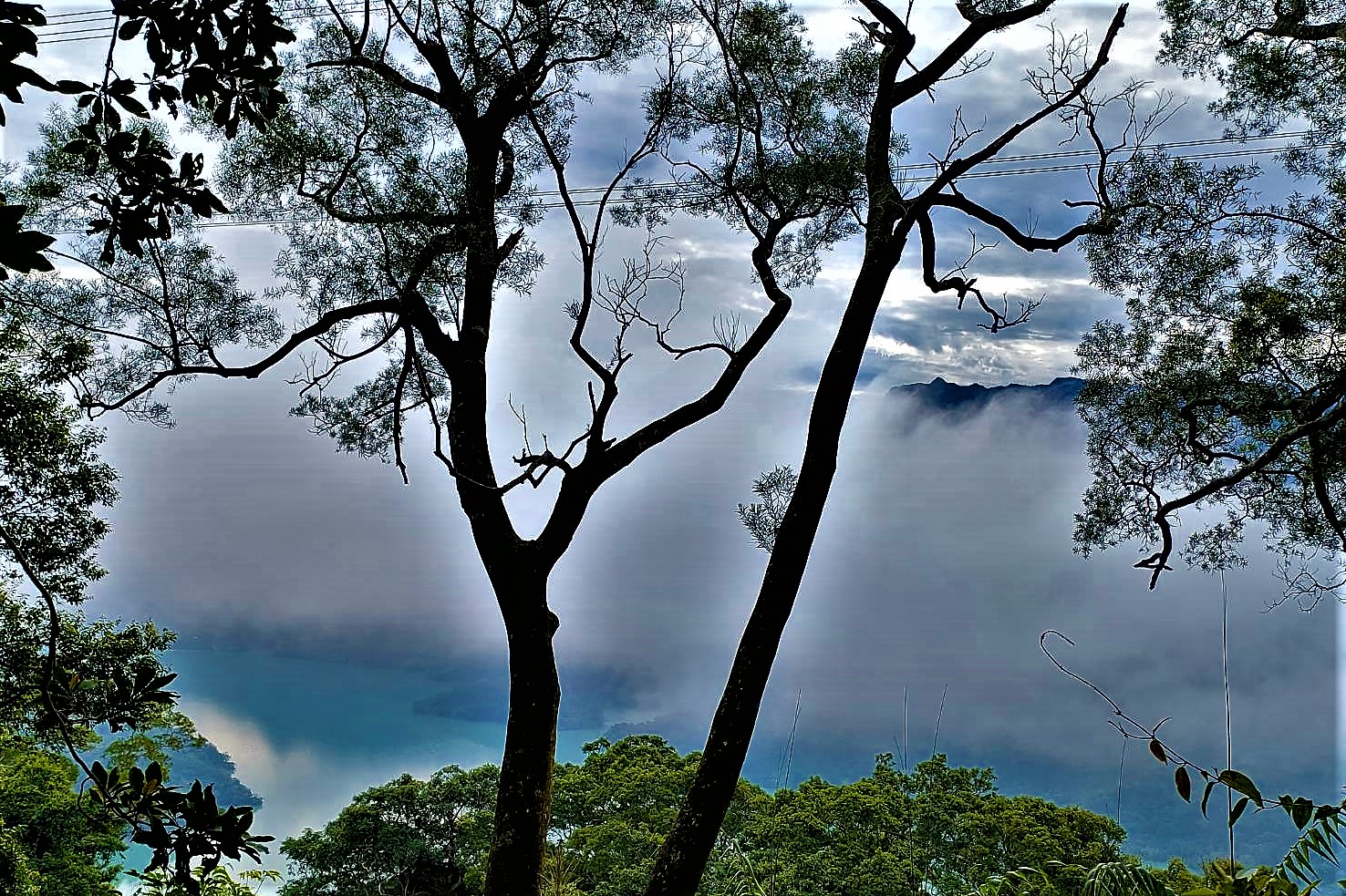 20211125@溪洲山(小百岳#23)