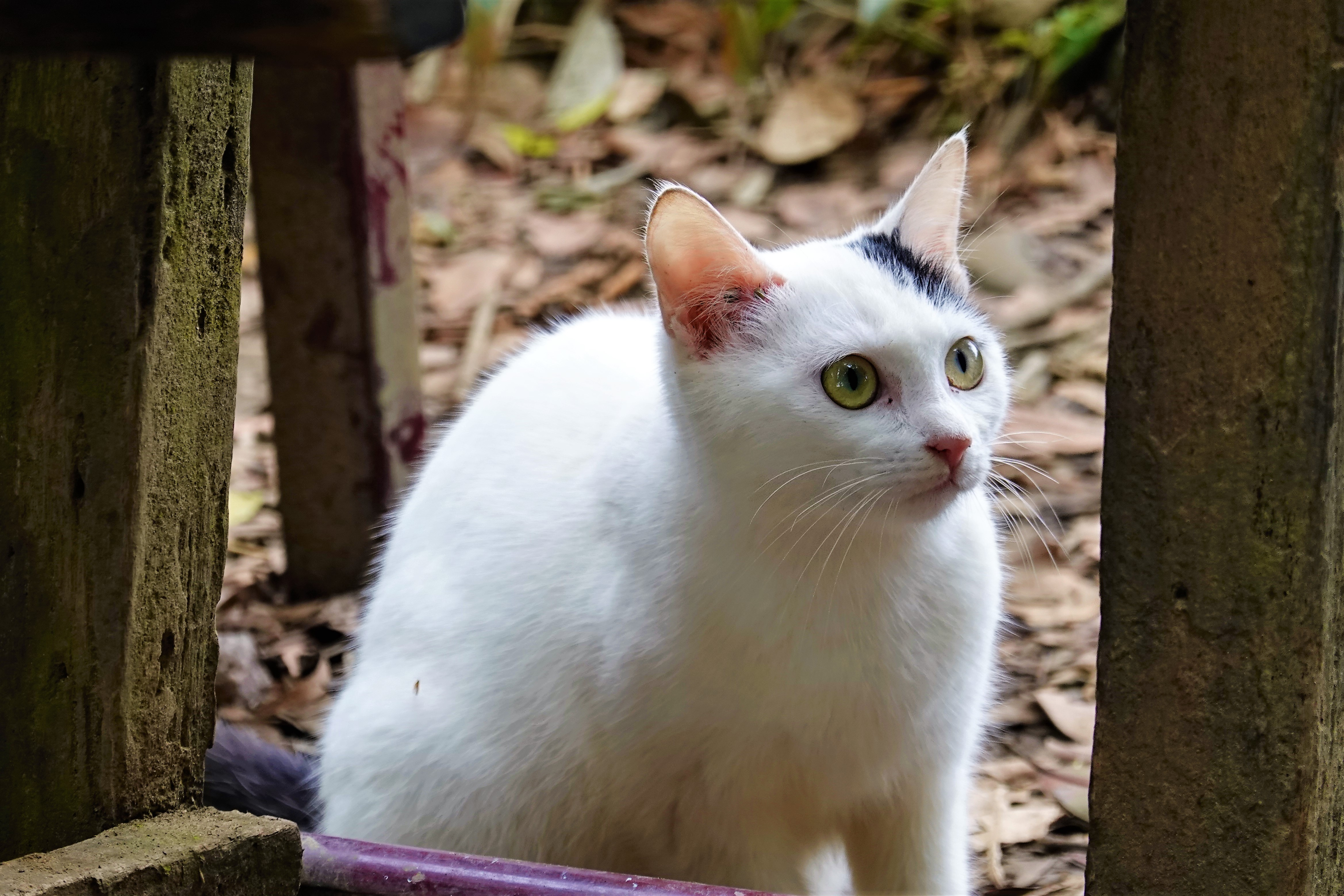 20211125@溪洲山(小百岳#23)