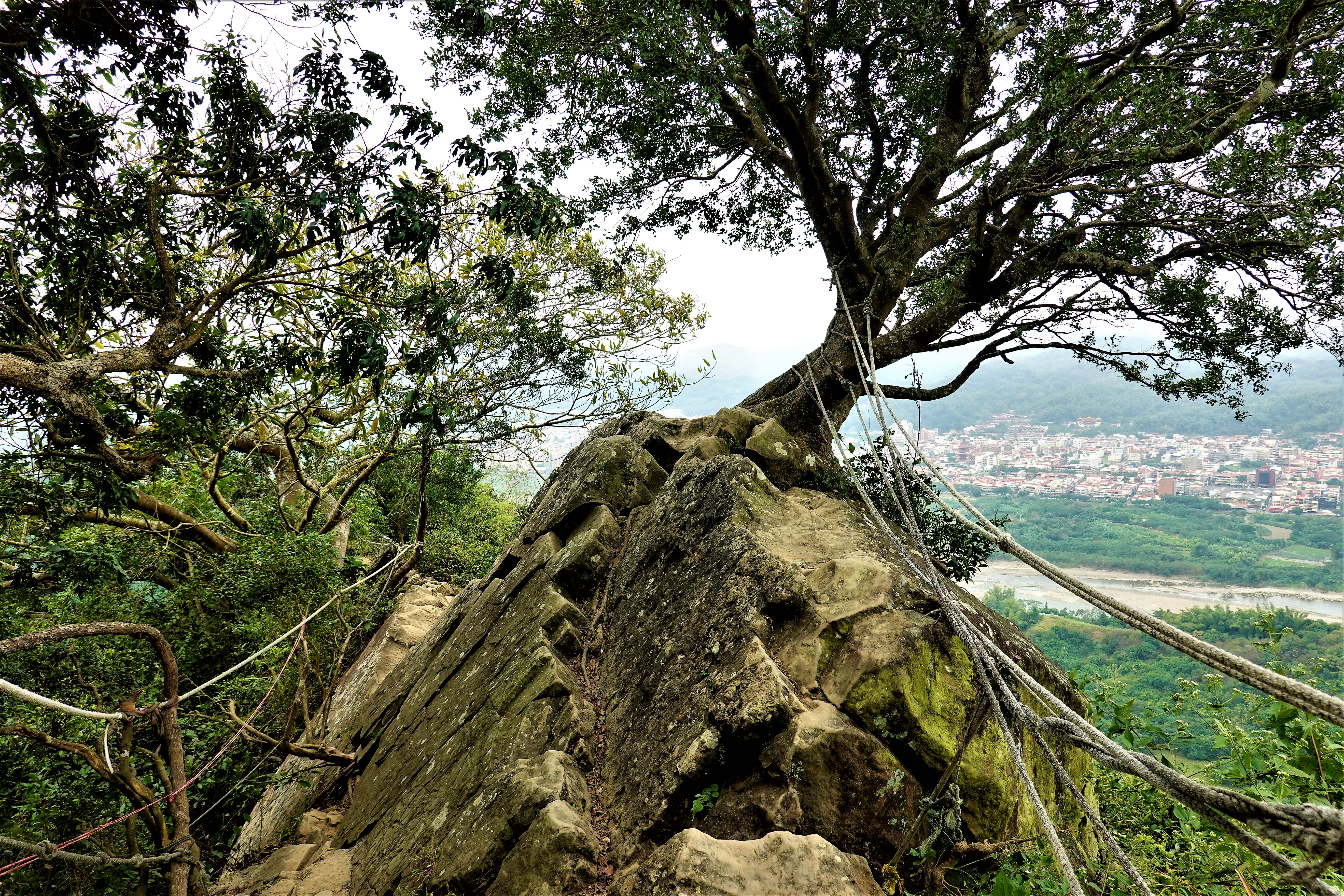 20211201@旗尾山(小百岳#72)