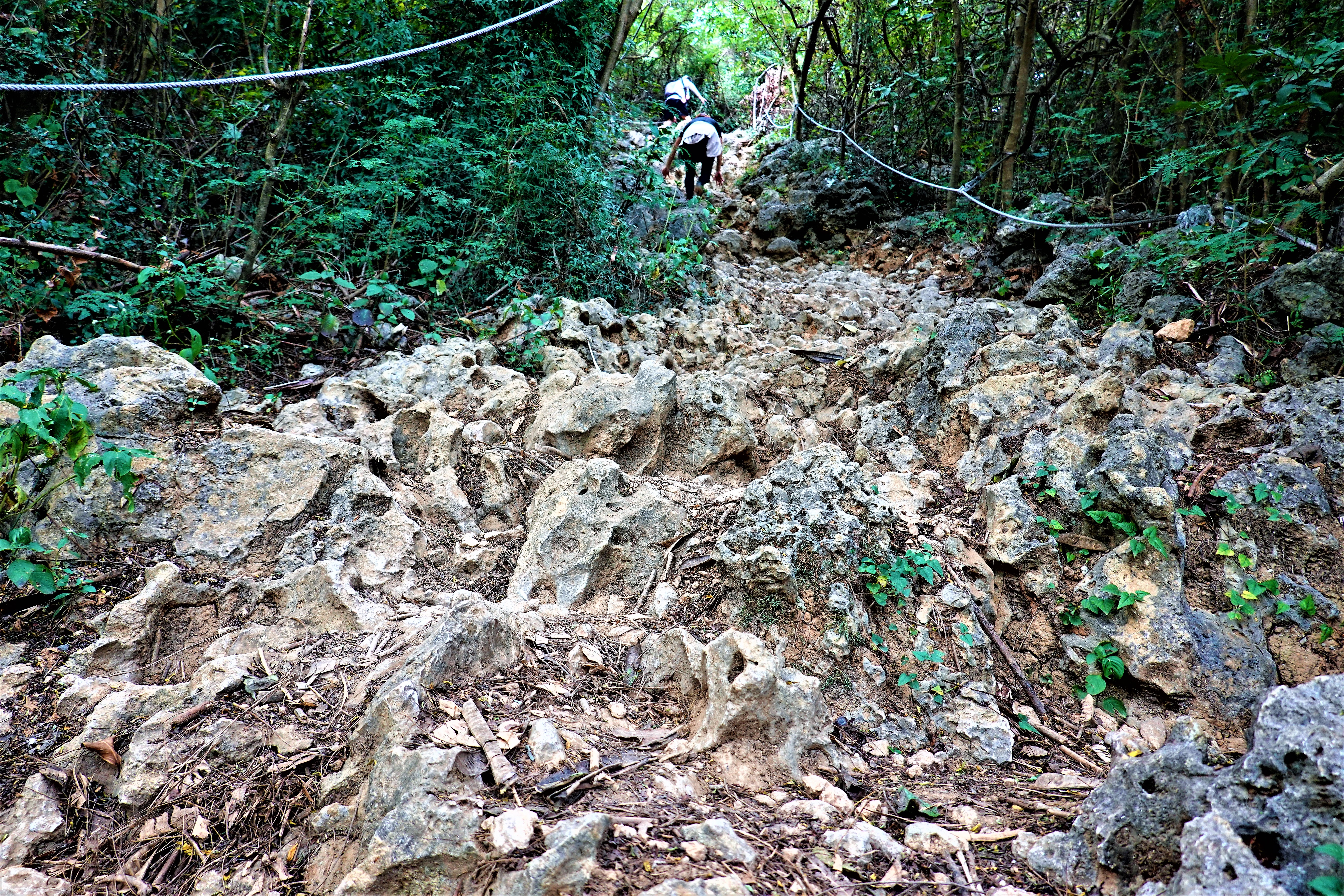 20211201@壽山(小百岳#77)