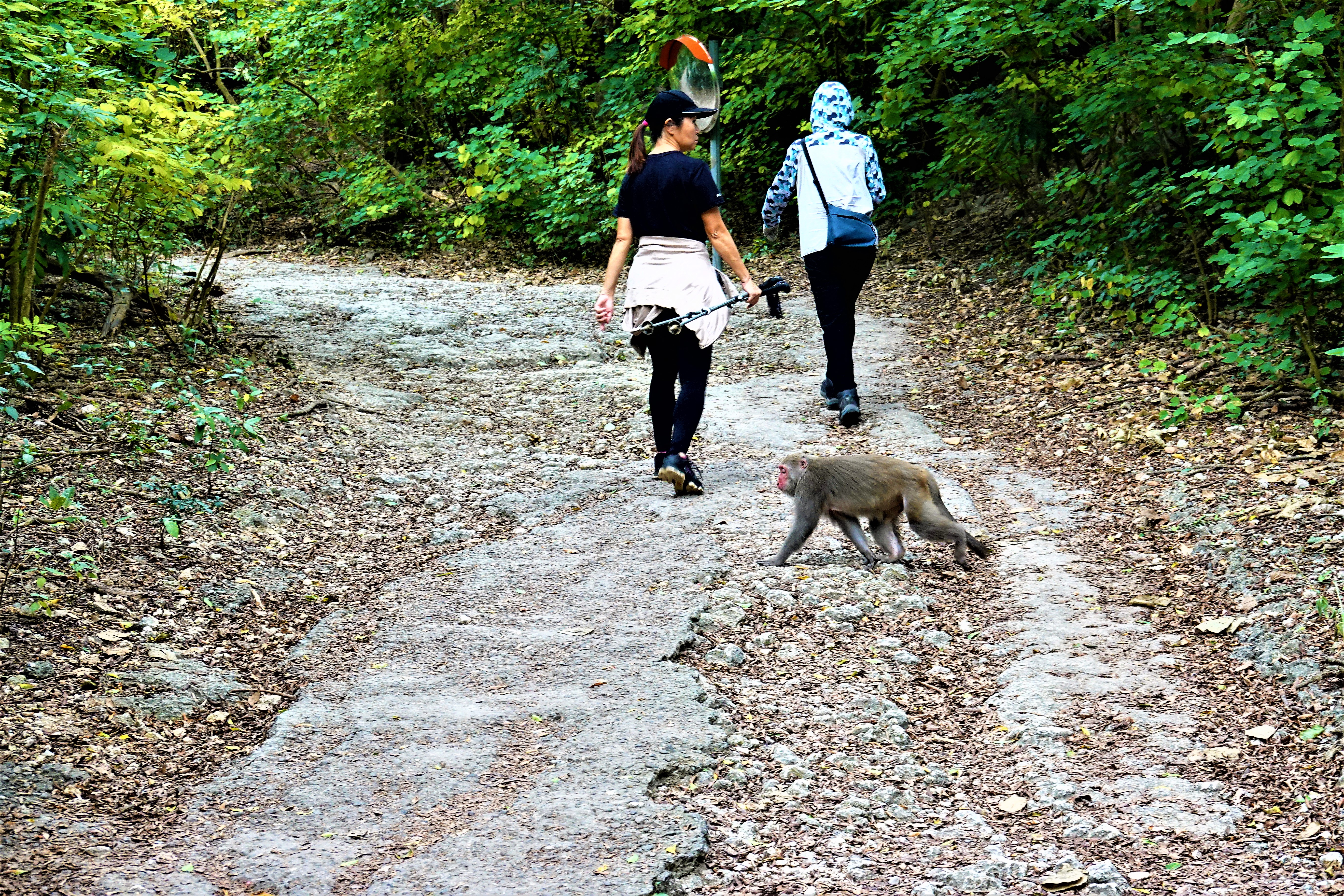 20211201@壽山(小百岳#77)