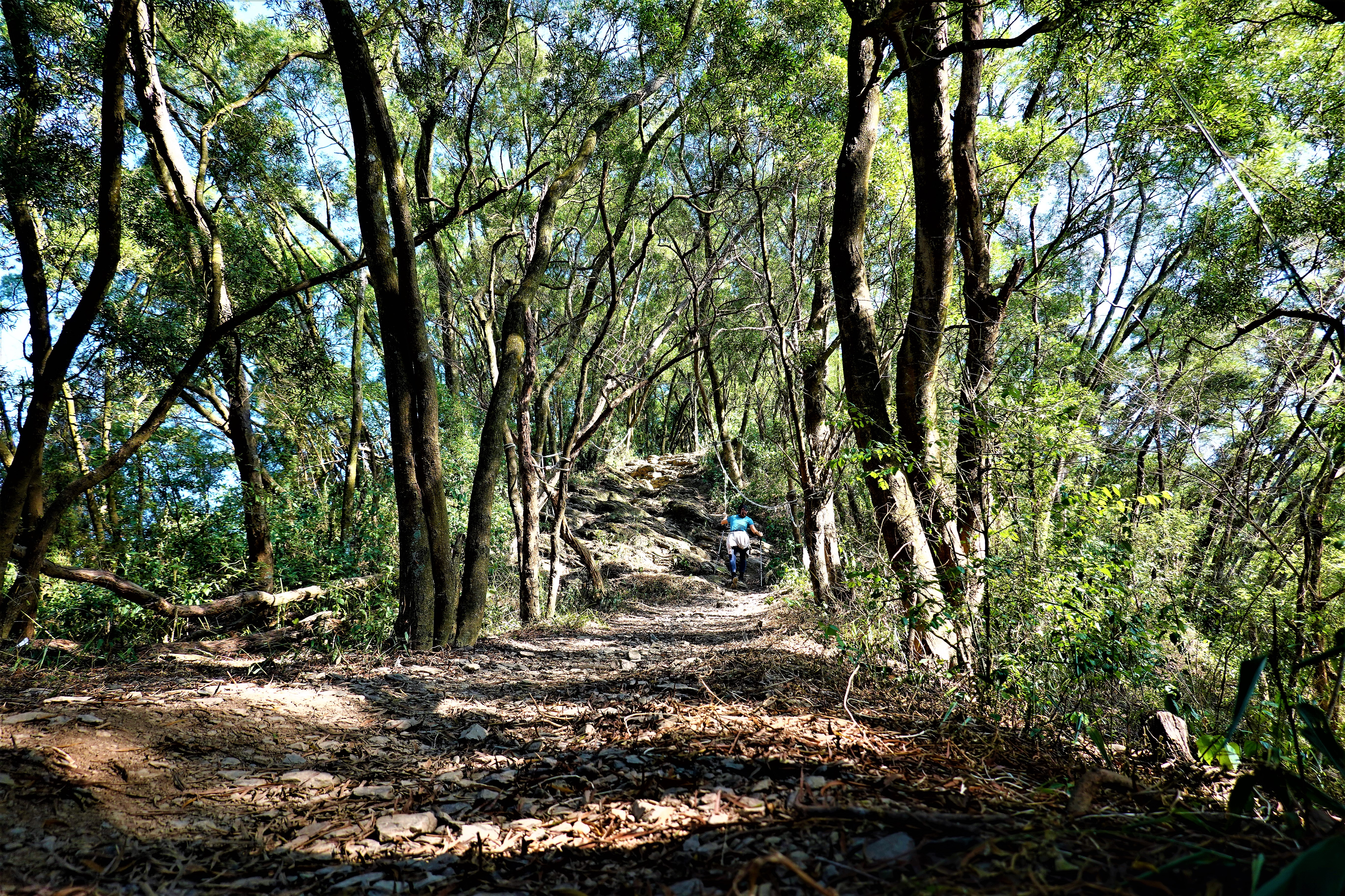 20211202@笠頂山(小百岳#76)