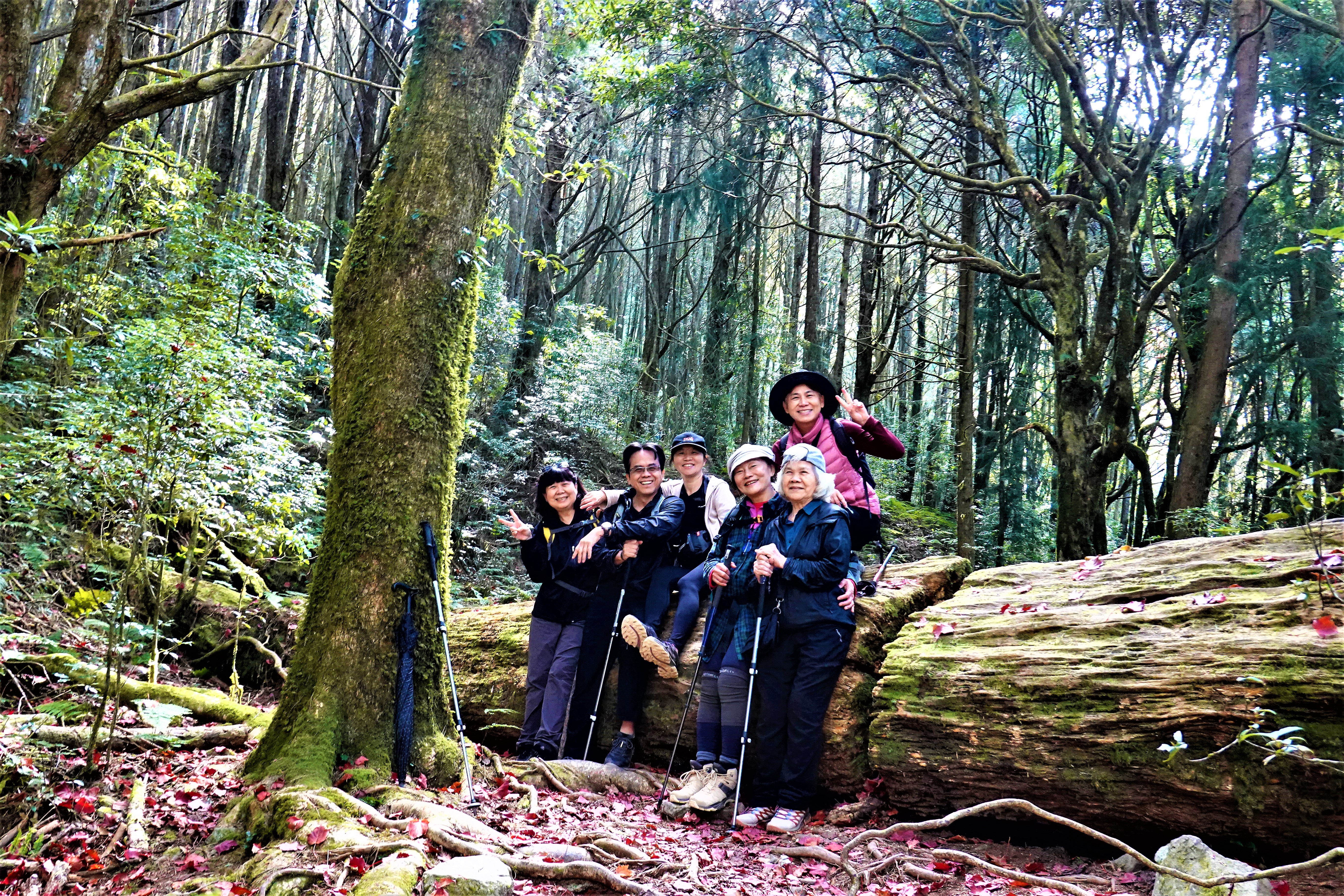 20211207@稍來山(小百岳#39)