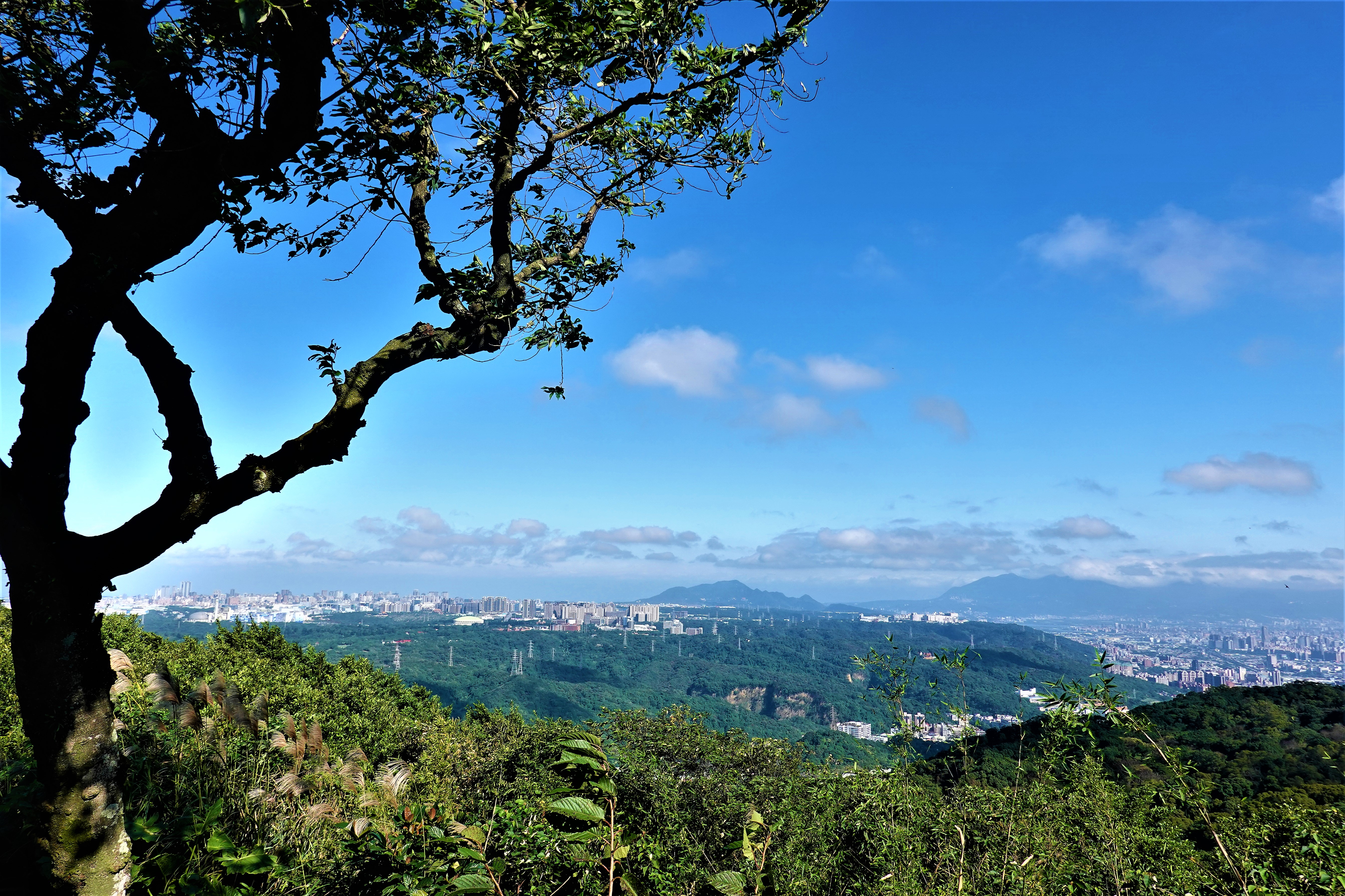 20211214@大棟山(小百岳#15)
