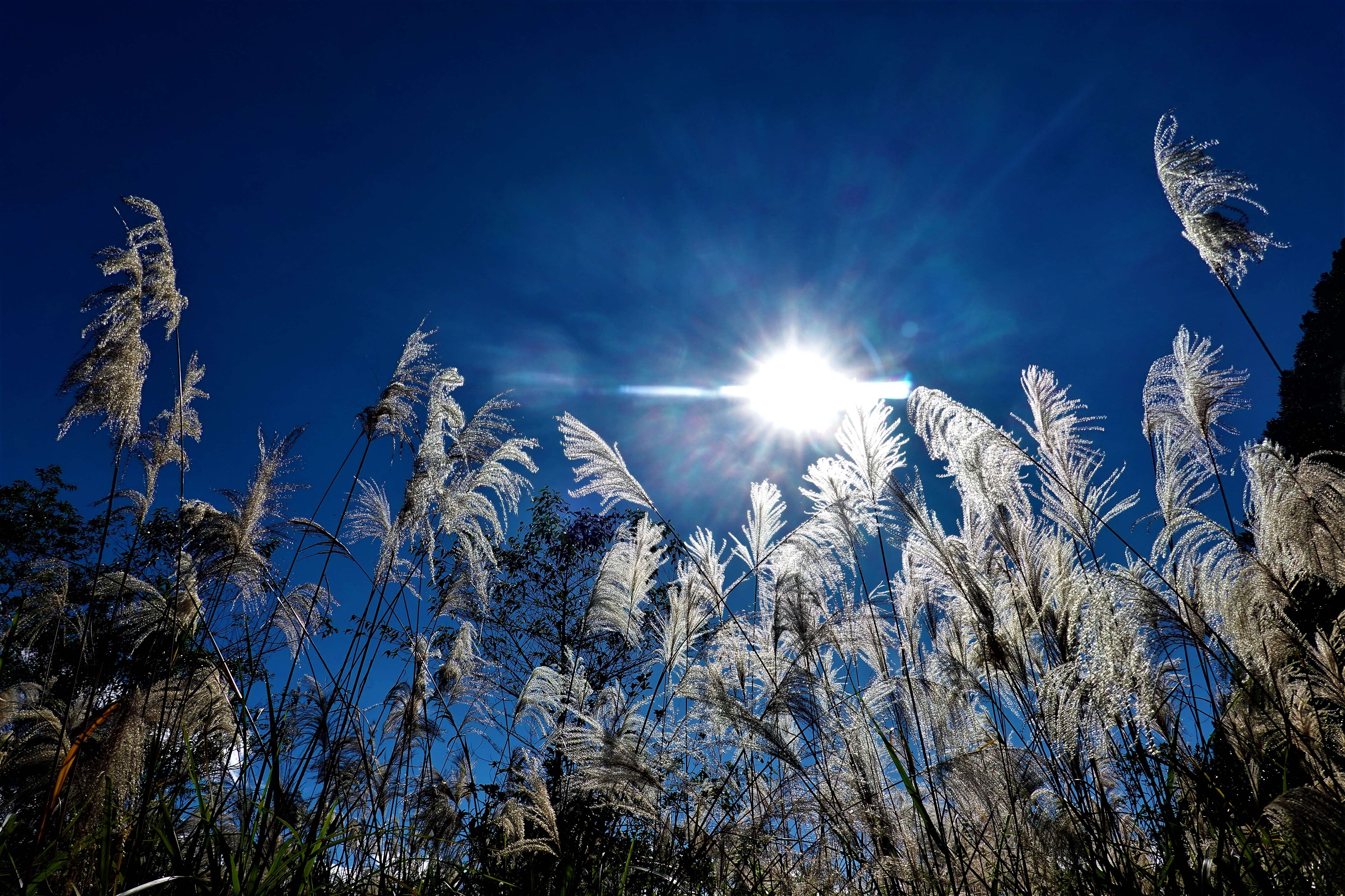 20211214@獅子頭山(小百岳#20)