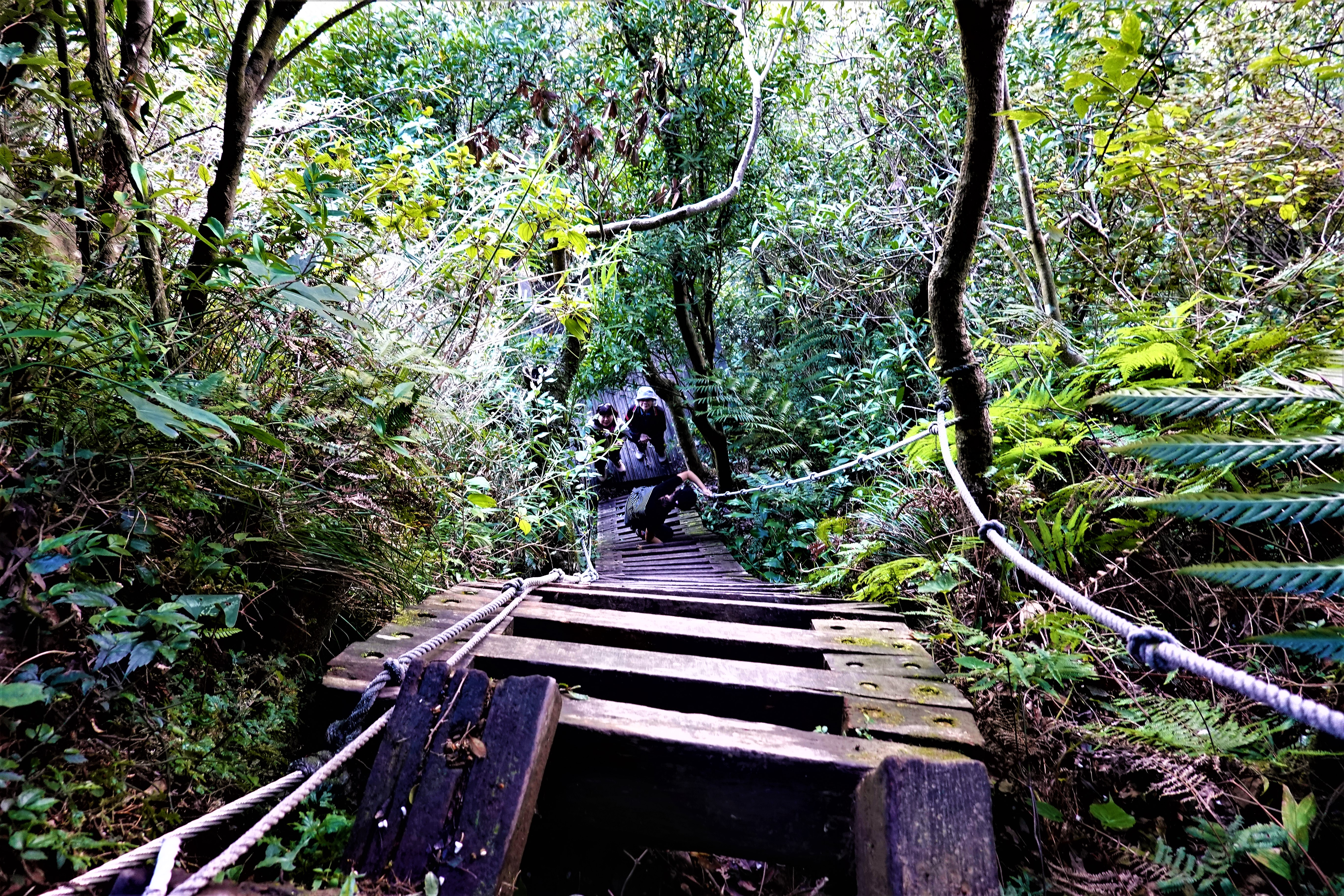 20211214@獅子頭山(小百岳#20)：崖梯