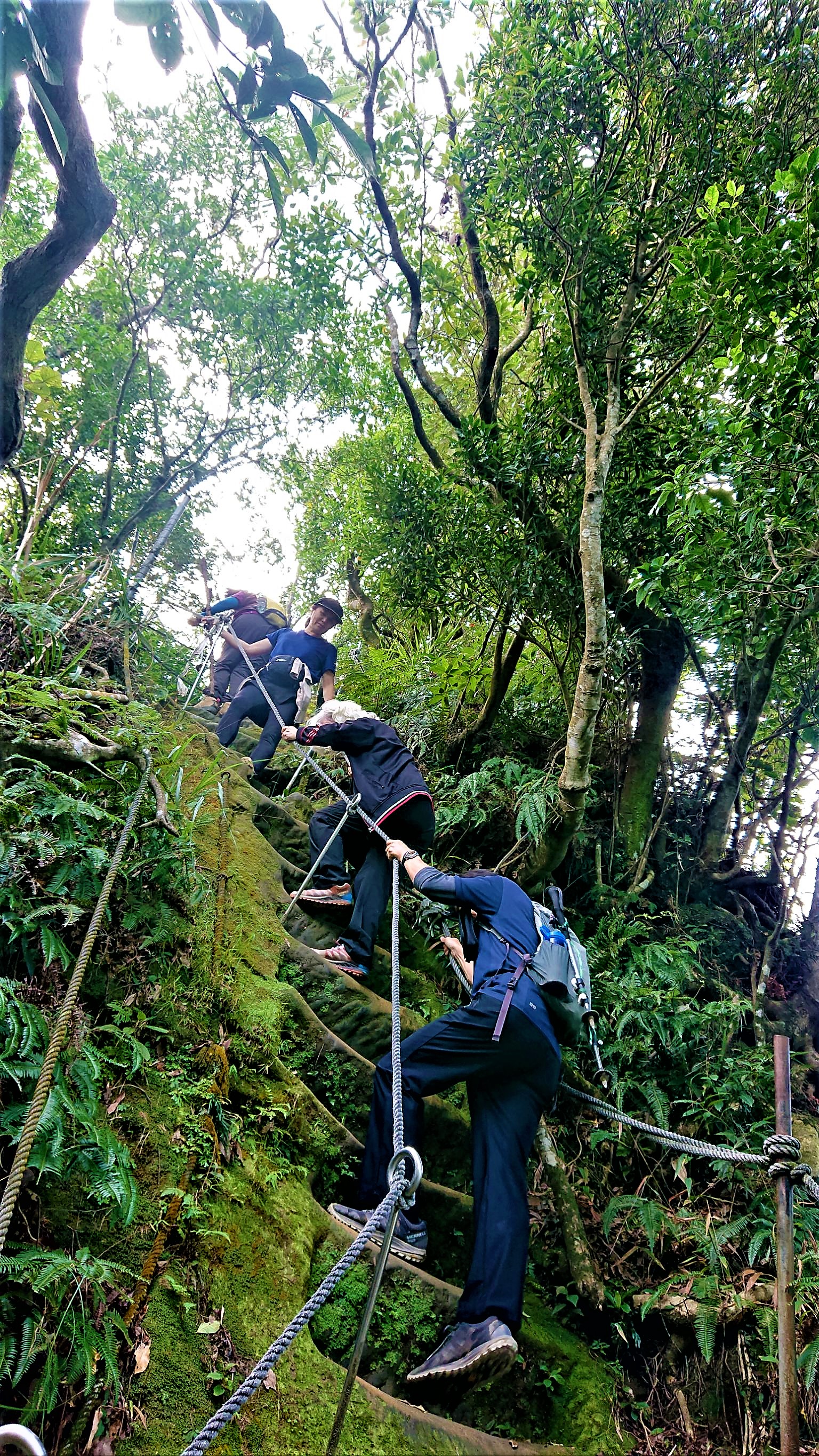 20211215@天上山(小百岳#18)