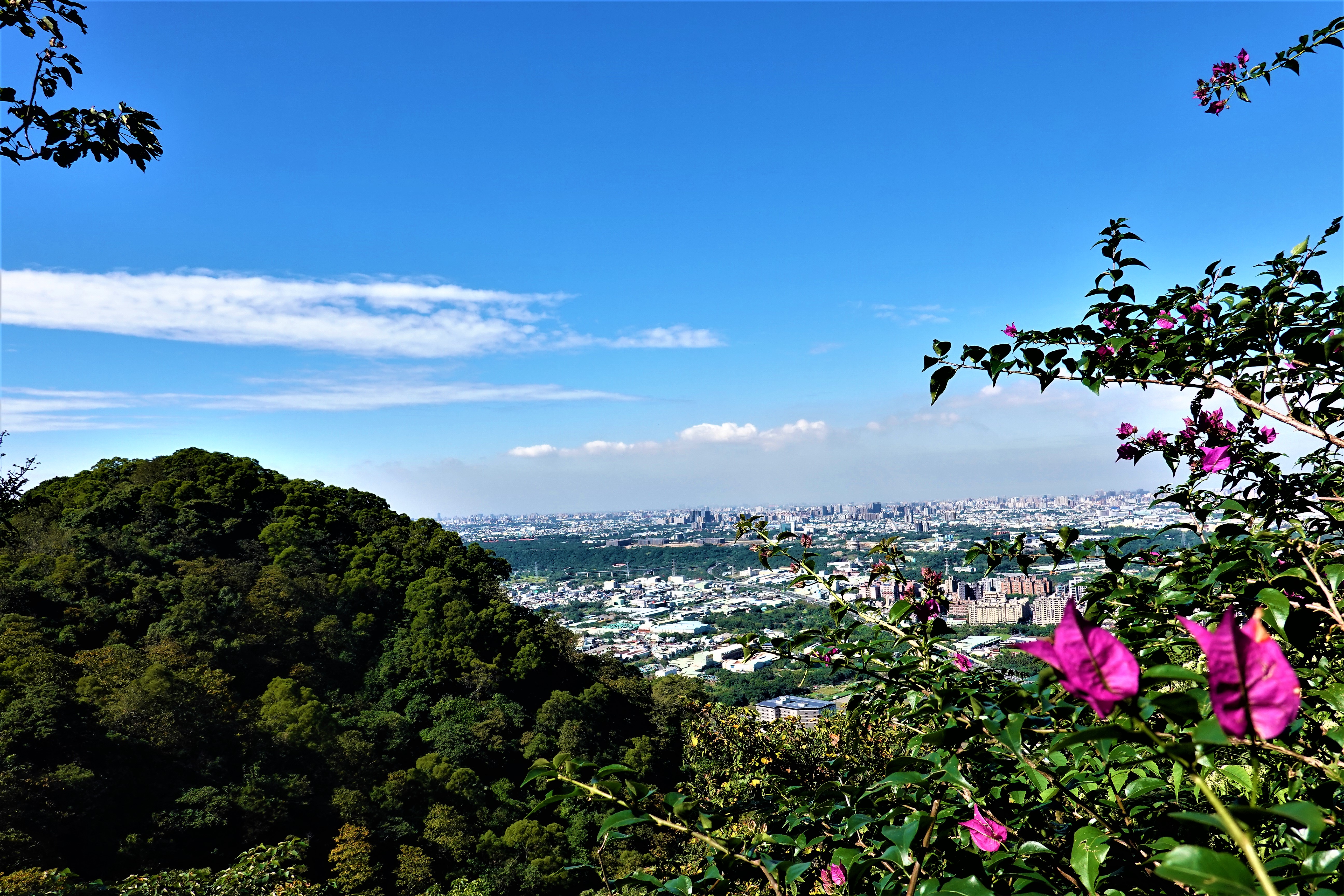 20211215@鳶山(小百岳#19)