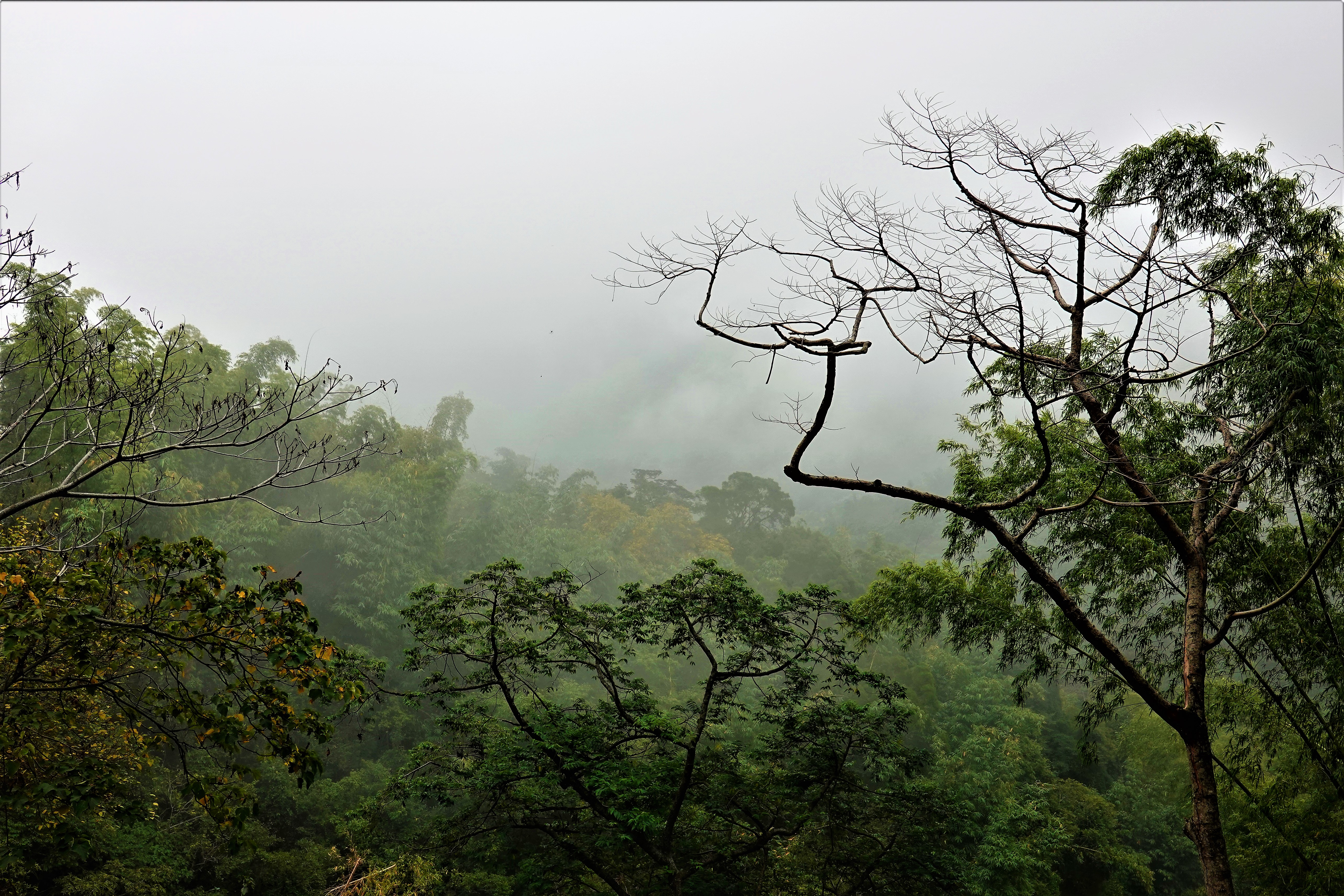 20211222@白雲山(小百岳#69)