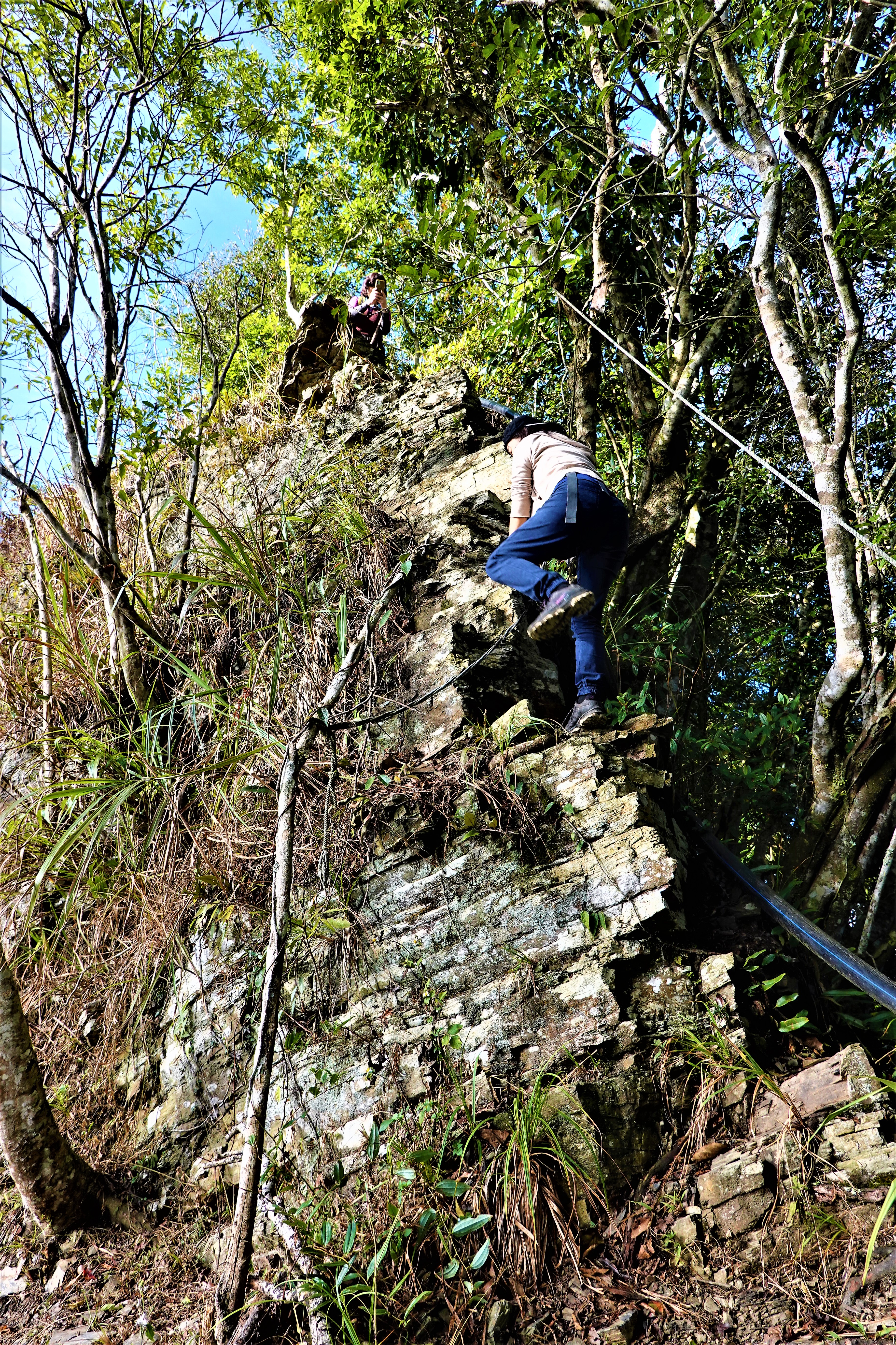 20211224@藤枝山(小百岳#68)