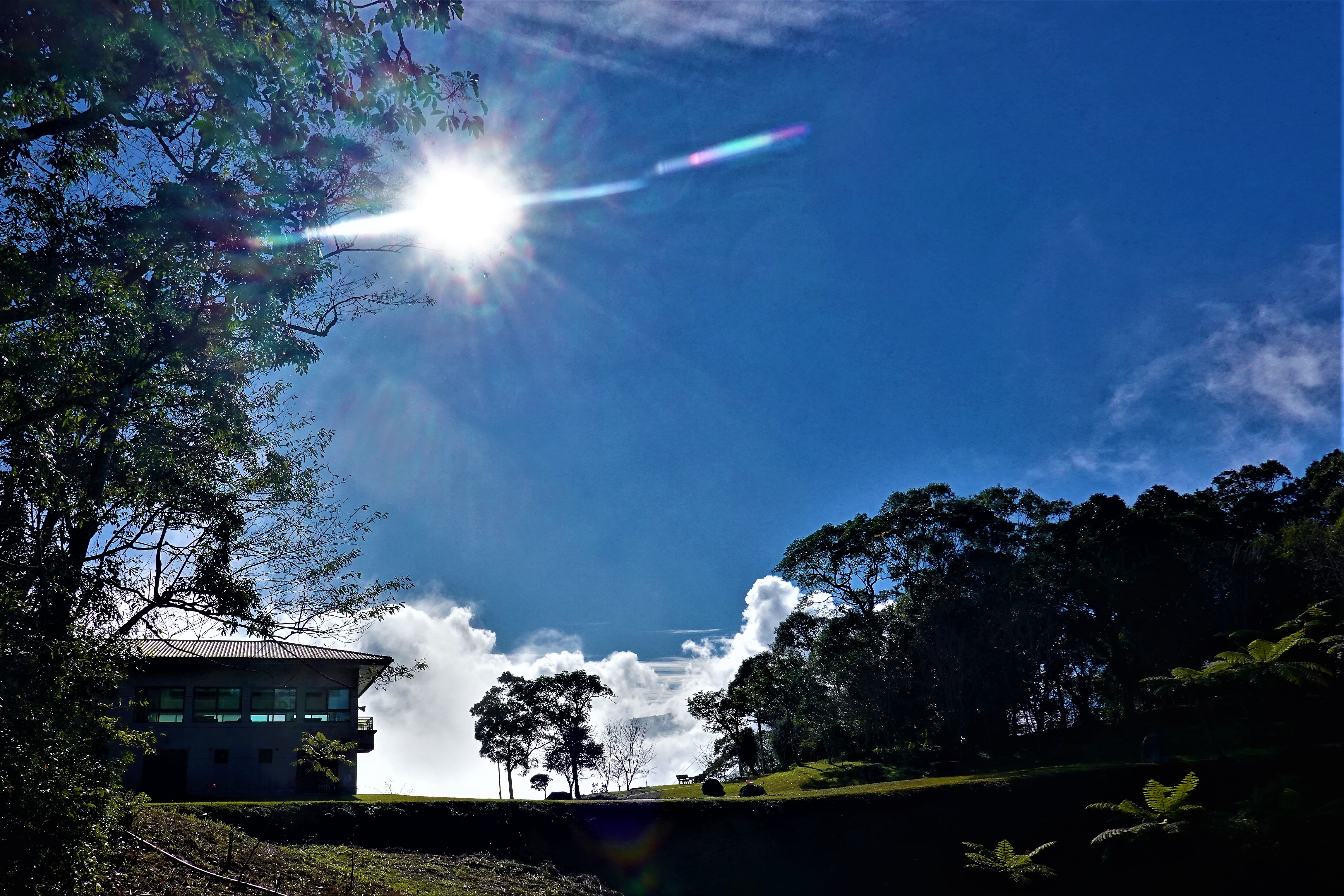 20211224@藤枝山(小百岳#68)