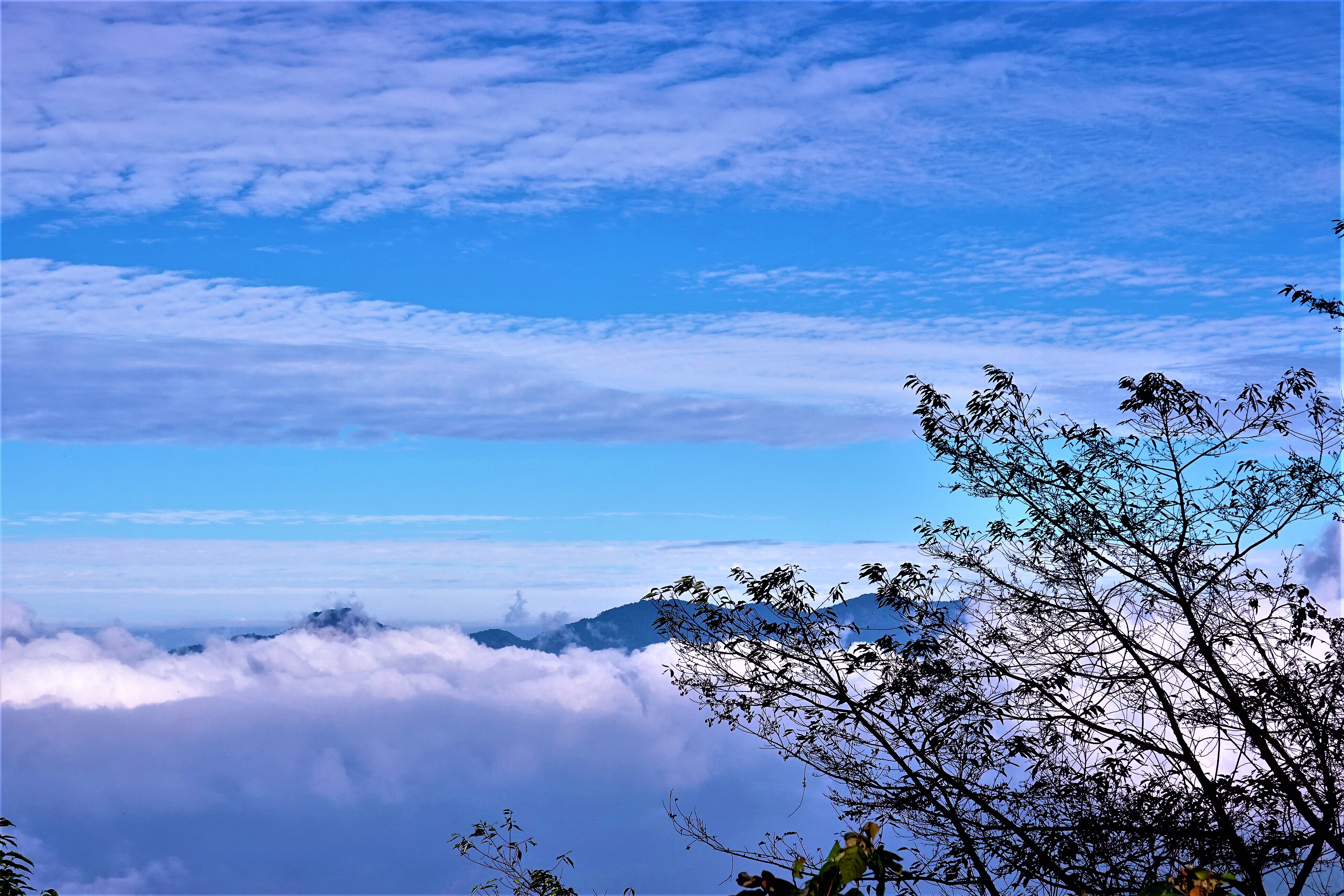 20211224@藤枝山(小百岳#68)