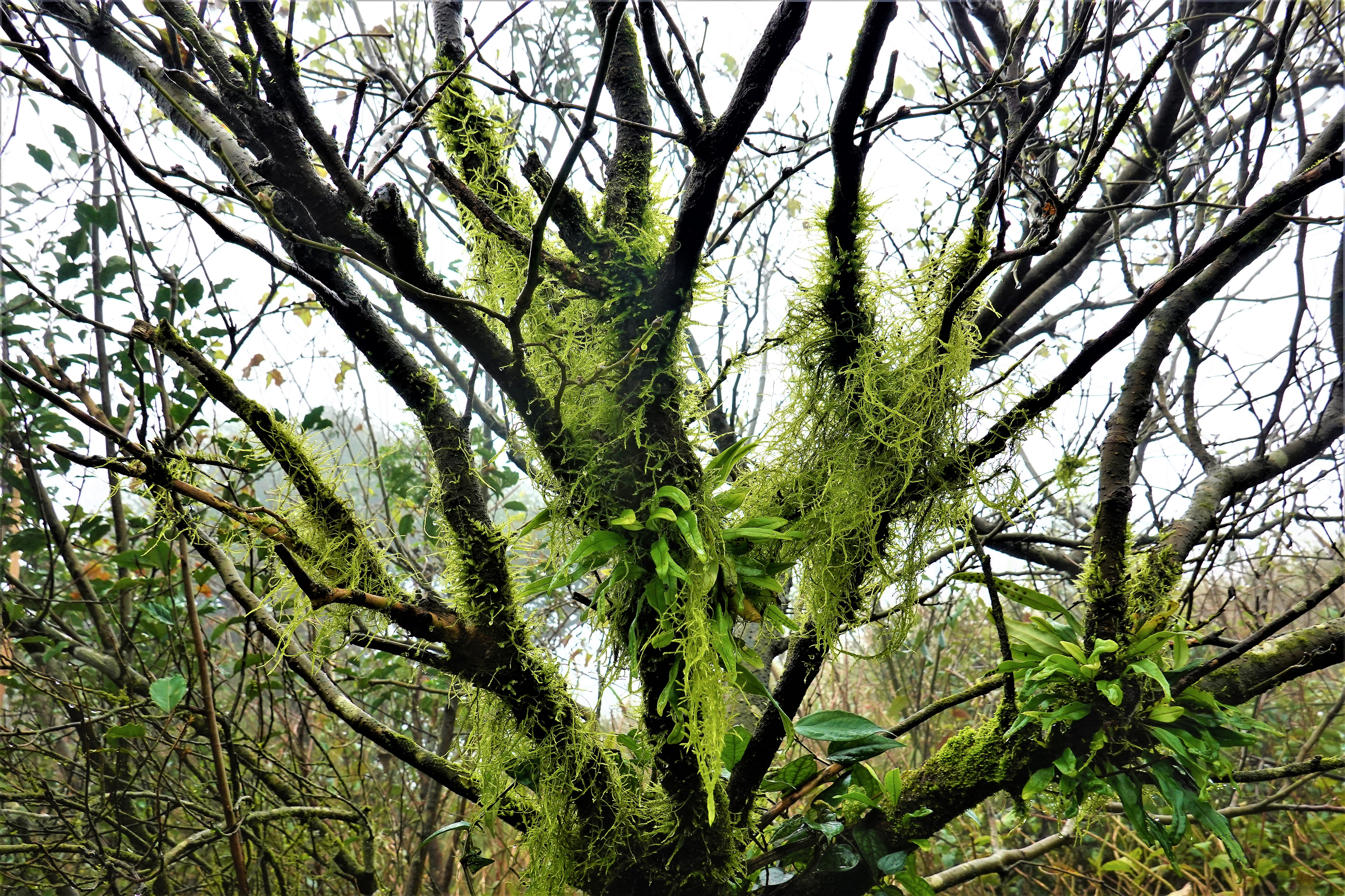 20220104@大屯山(小百岳#01)