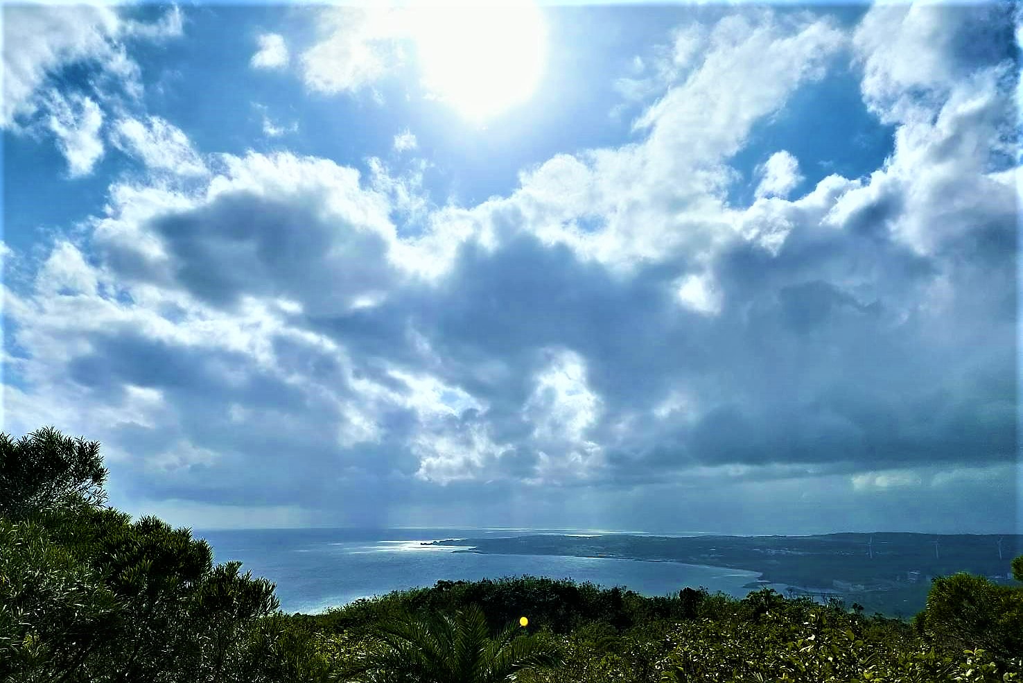 20220111@大山母山(小百岳#81)