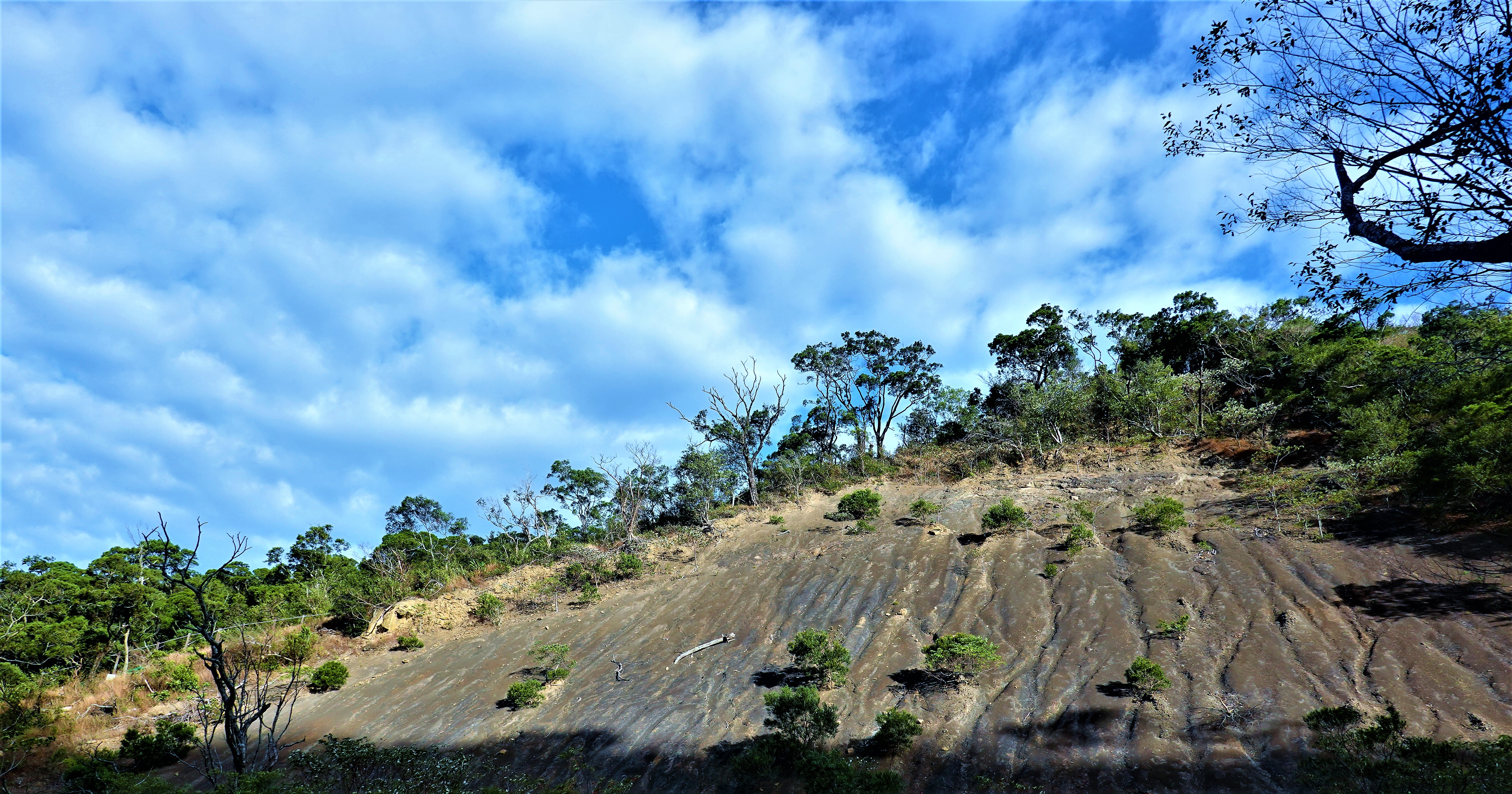 20220112@里龍山(小百岳#80)