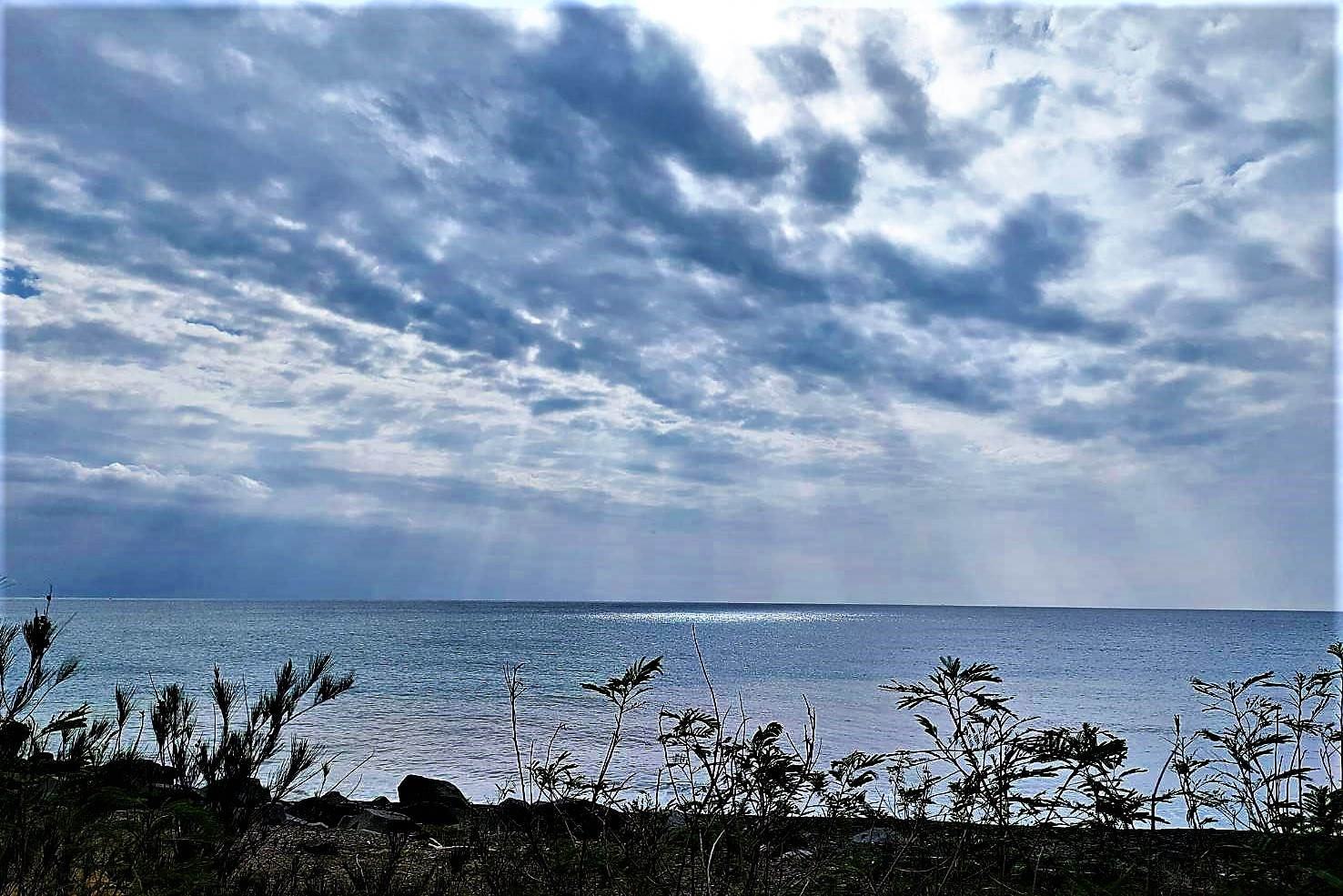 20220112@里龍山(小百岳#80)