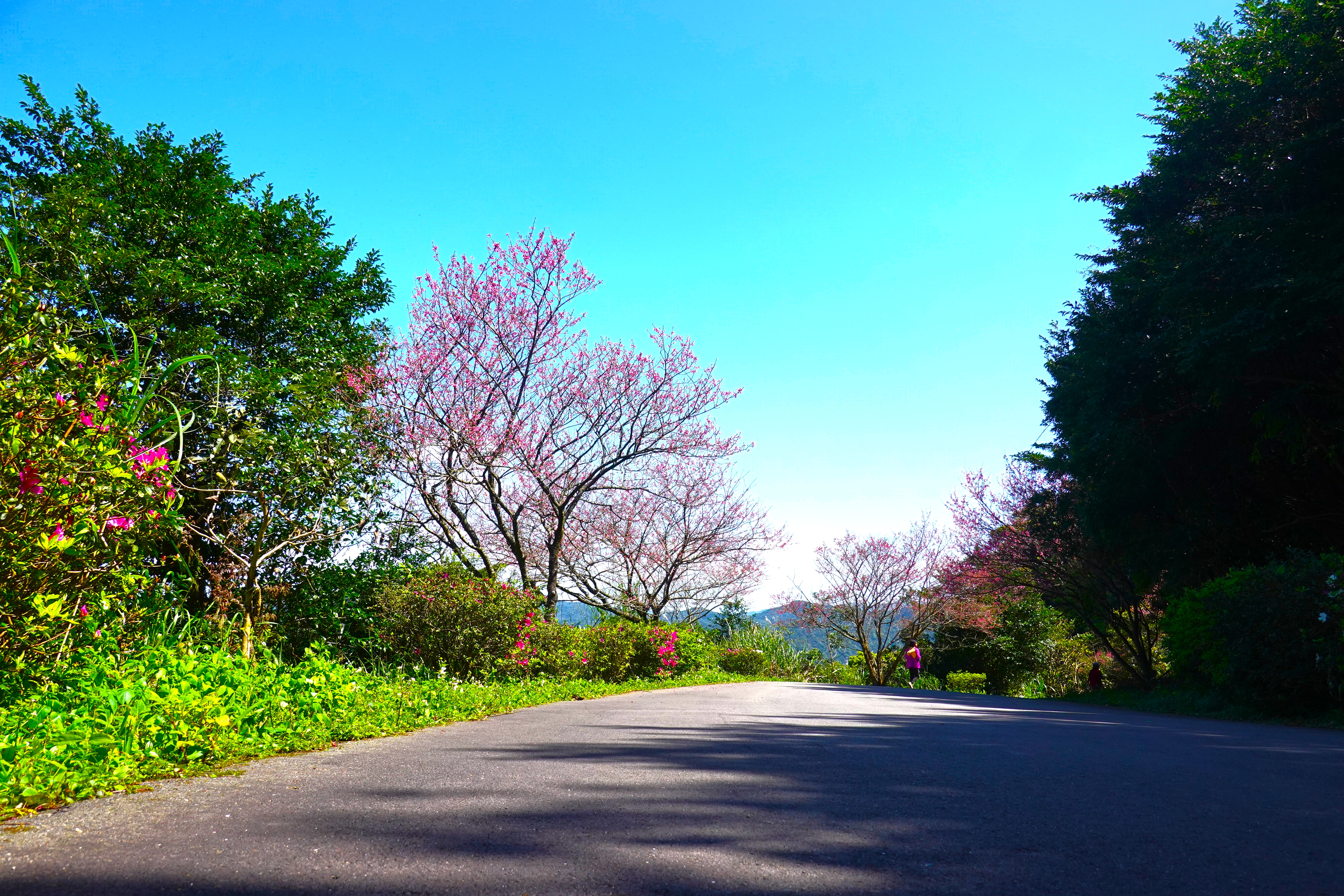 20220308@二格山(小百岳#17)