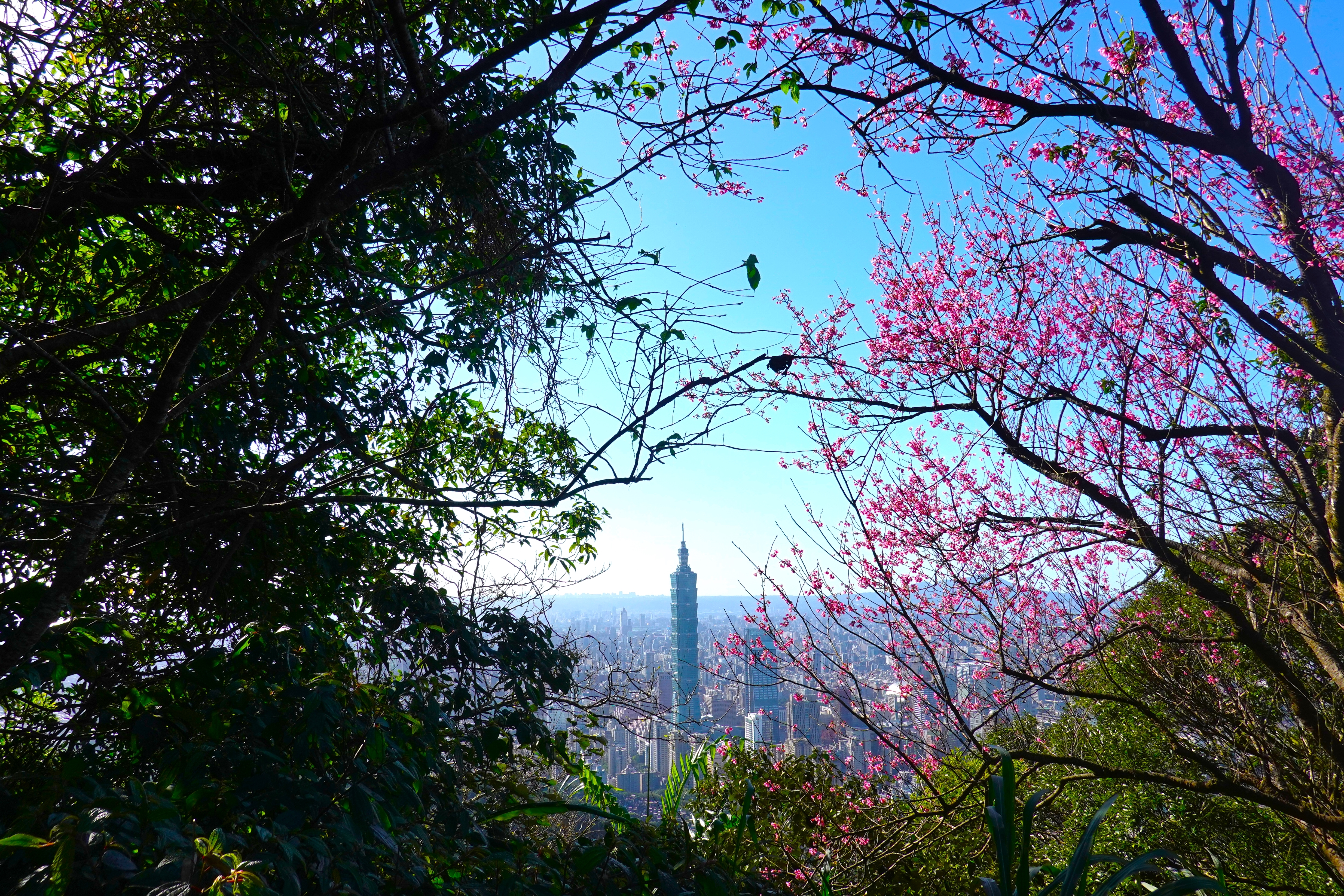 20220308@南港山(小百岳#13)