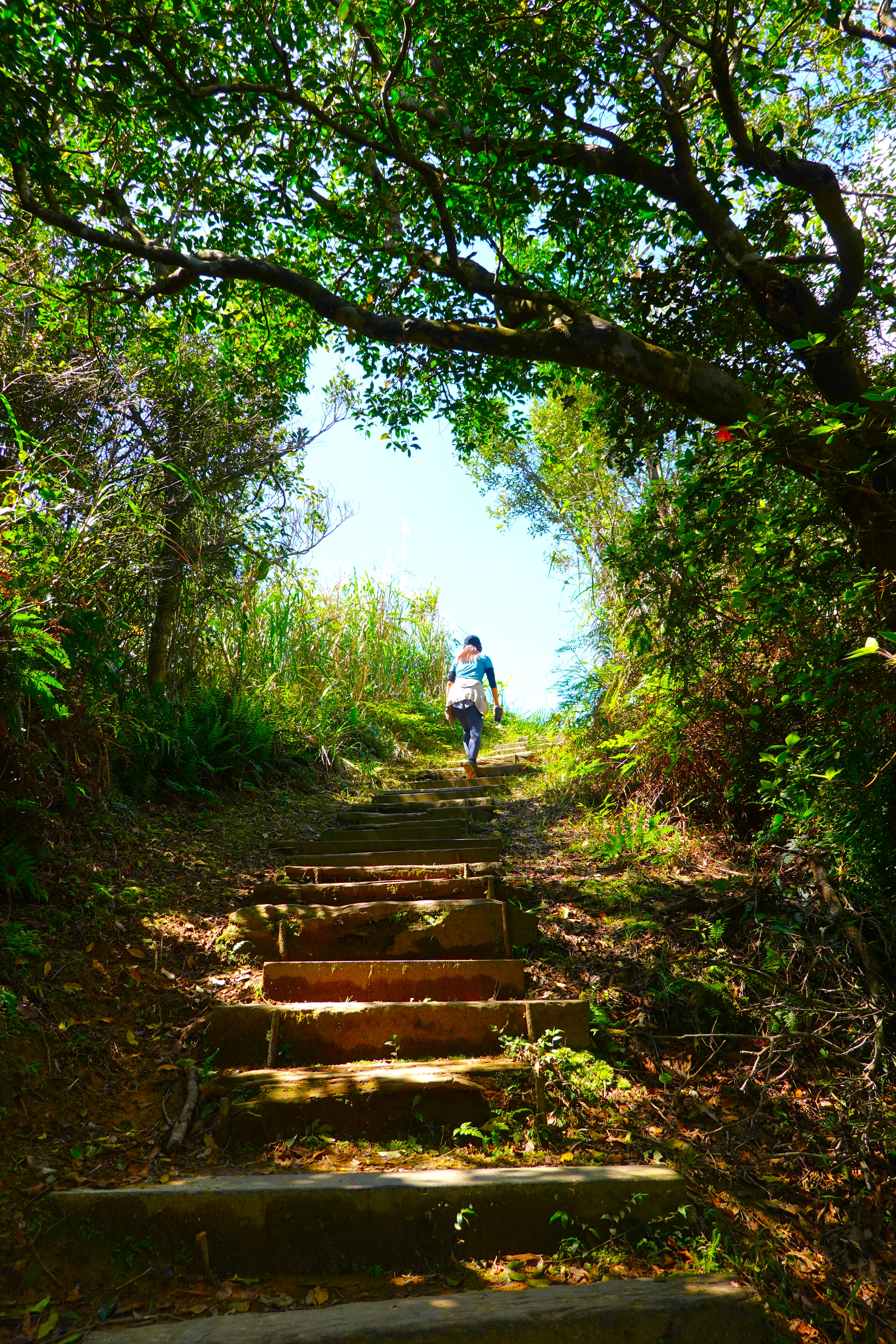 20220309@土庫岳(小百岳#14)