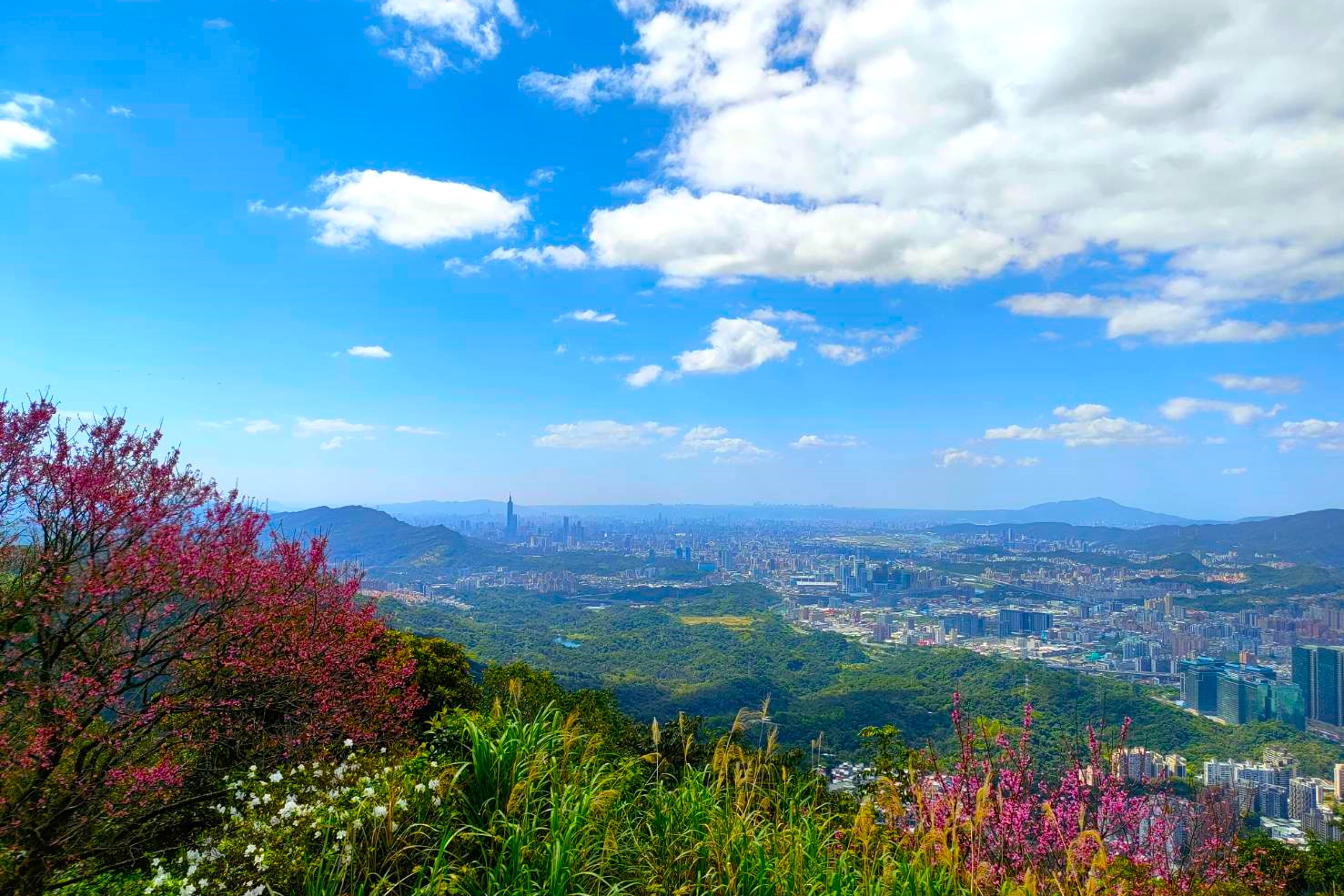 20220309@汐止大尖山(小百岳#12)