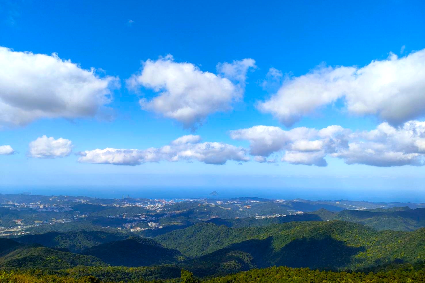 20220309@姜子寮山(小百岳#11)