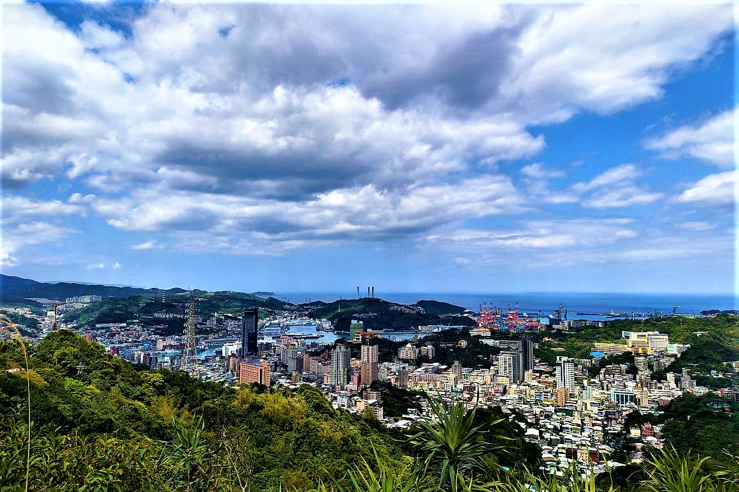 20220310@紅淡山(小百岳#07)