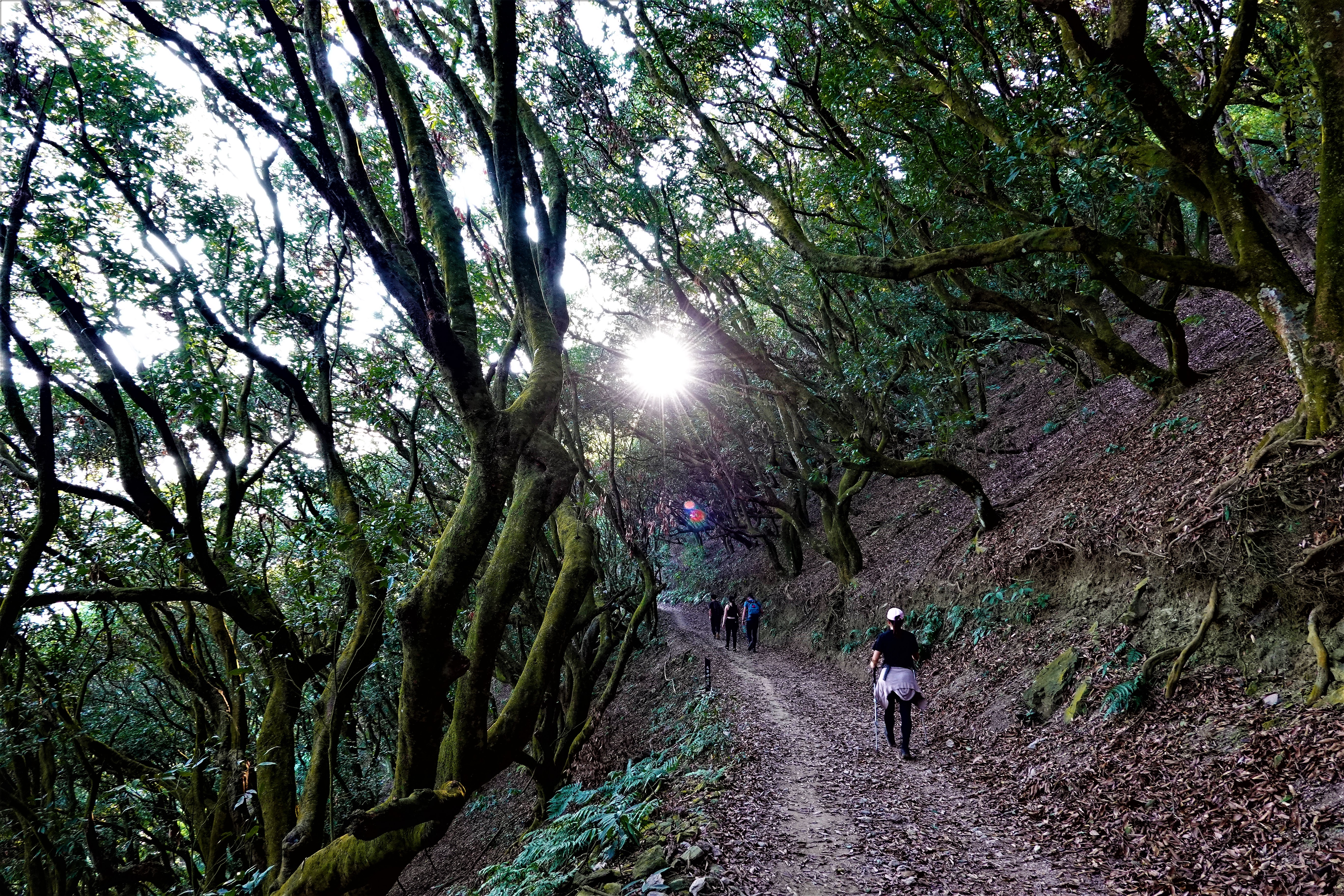 20220321@尾寮山(小百岳#73)