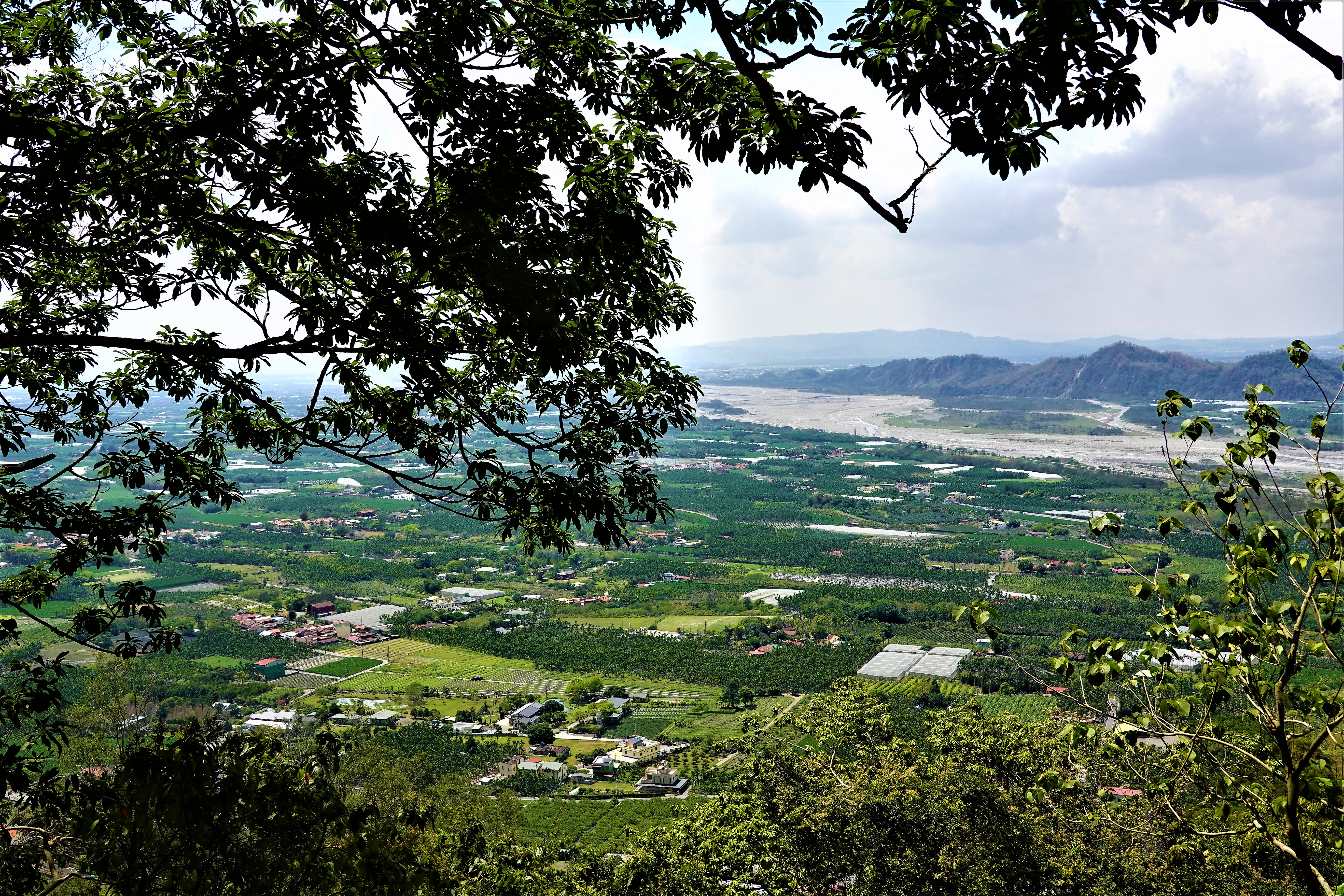 20220321@尾寮山(小百岳#73)