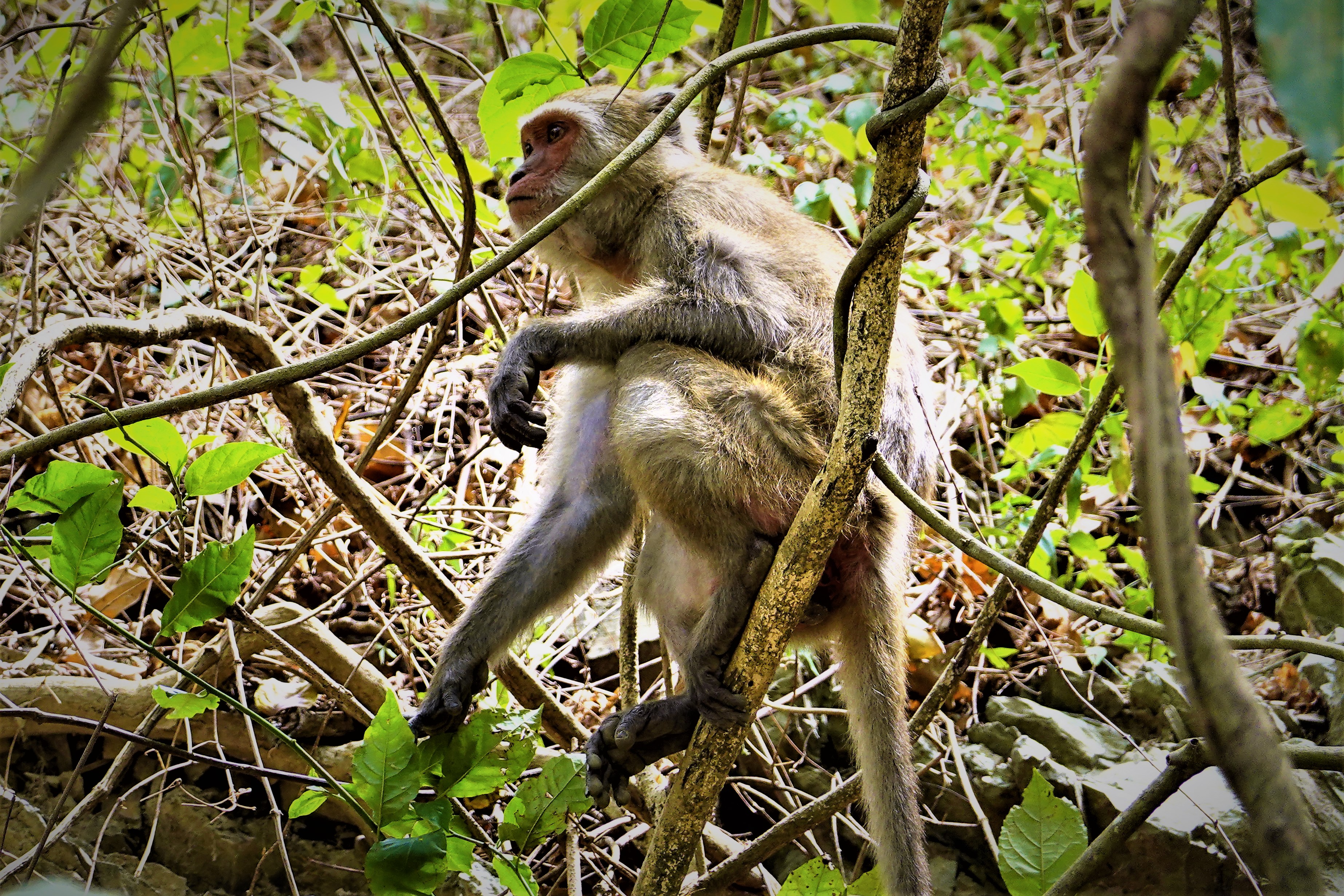 20220321@尾寮山(小百岳#73)