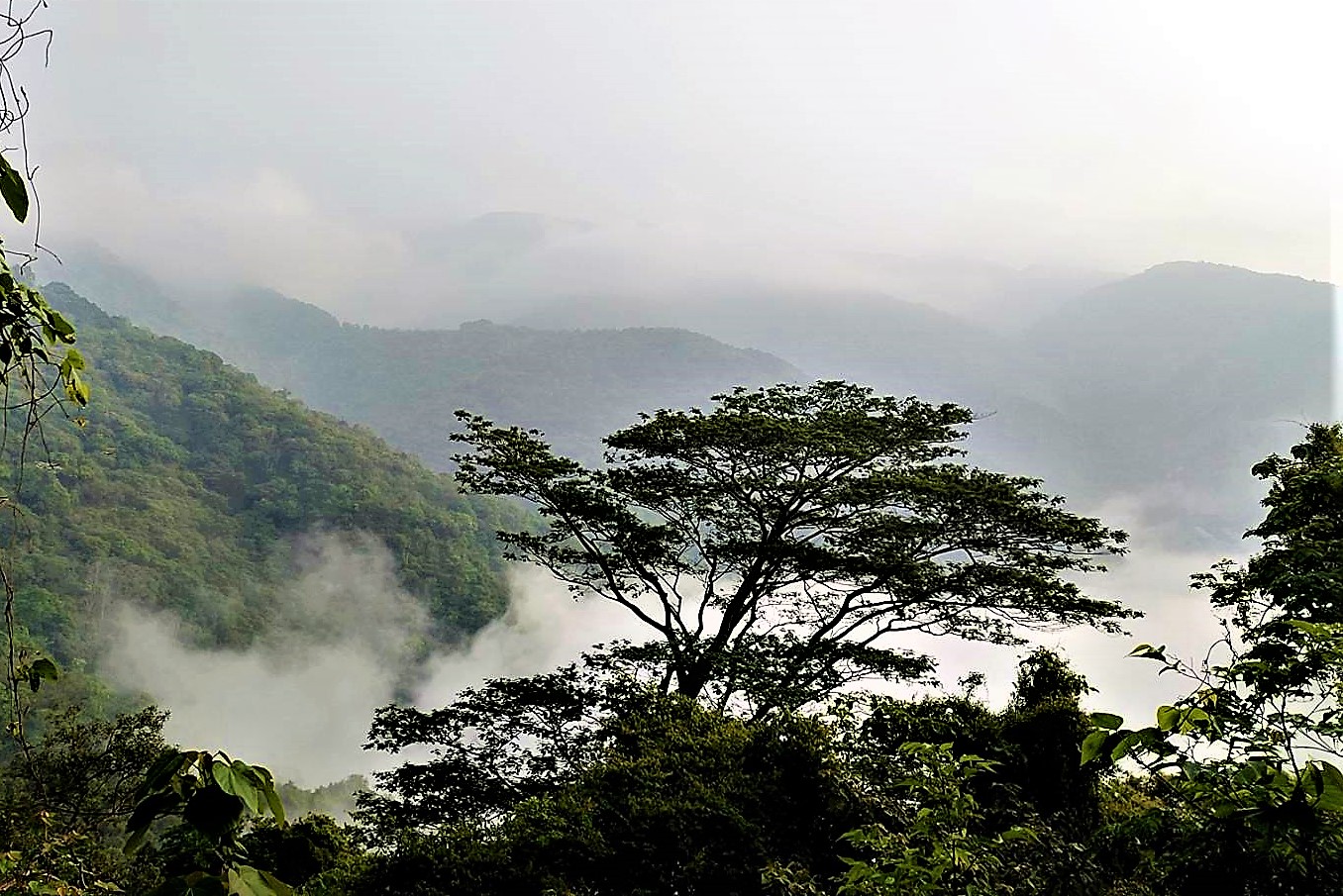 20220401@鳴海山(小百岳#71)