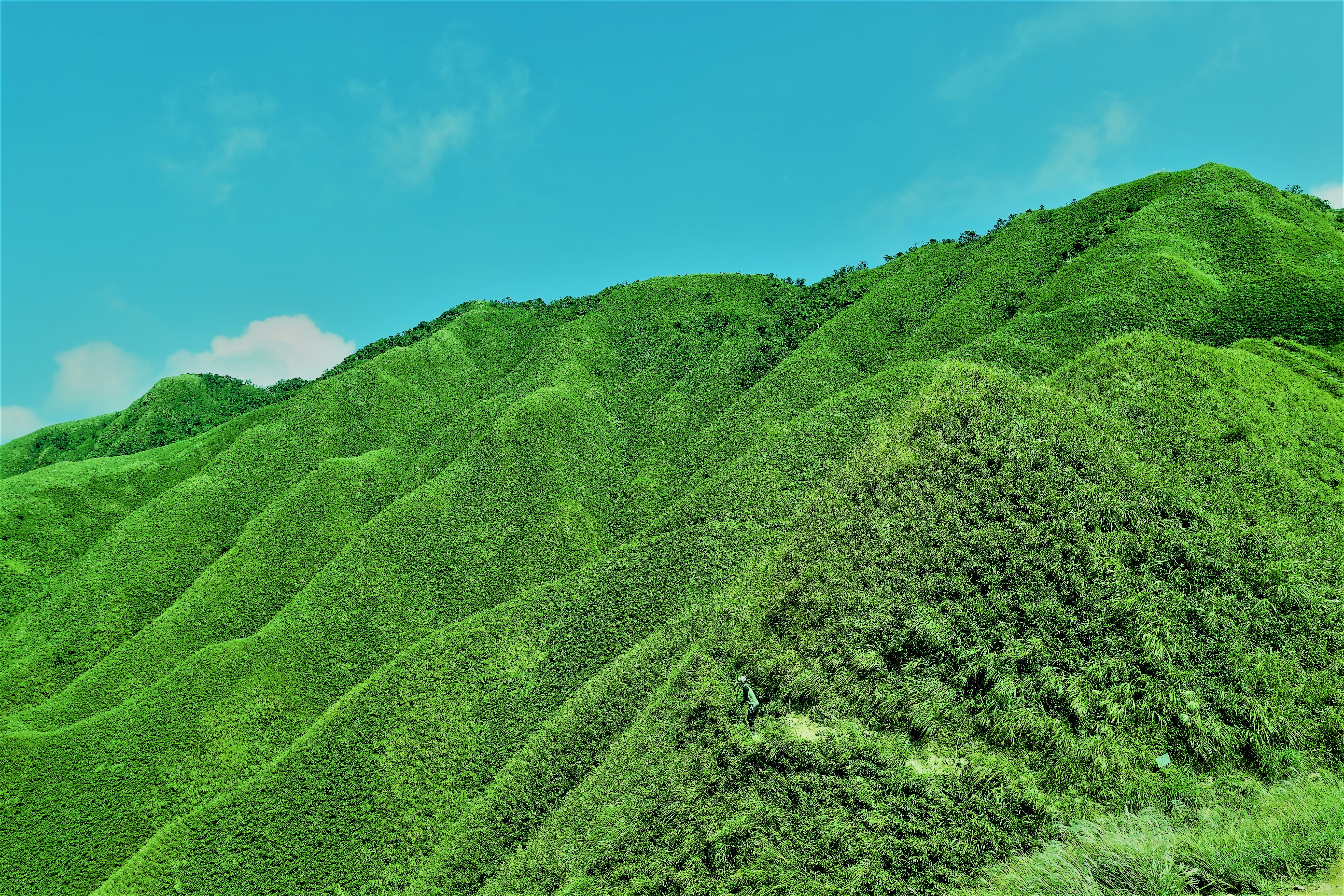 20221004@三角崙山(小百岳#083)：抹茶山